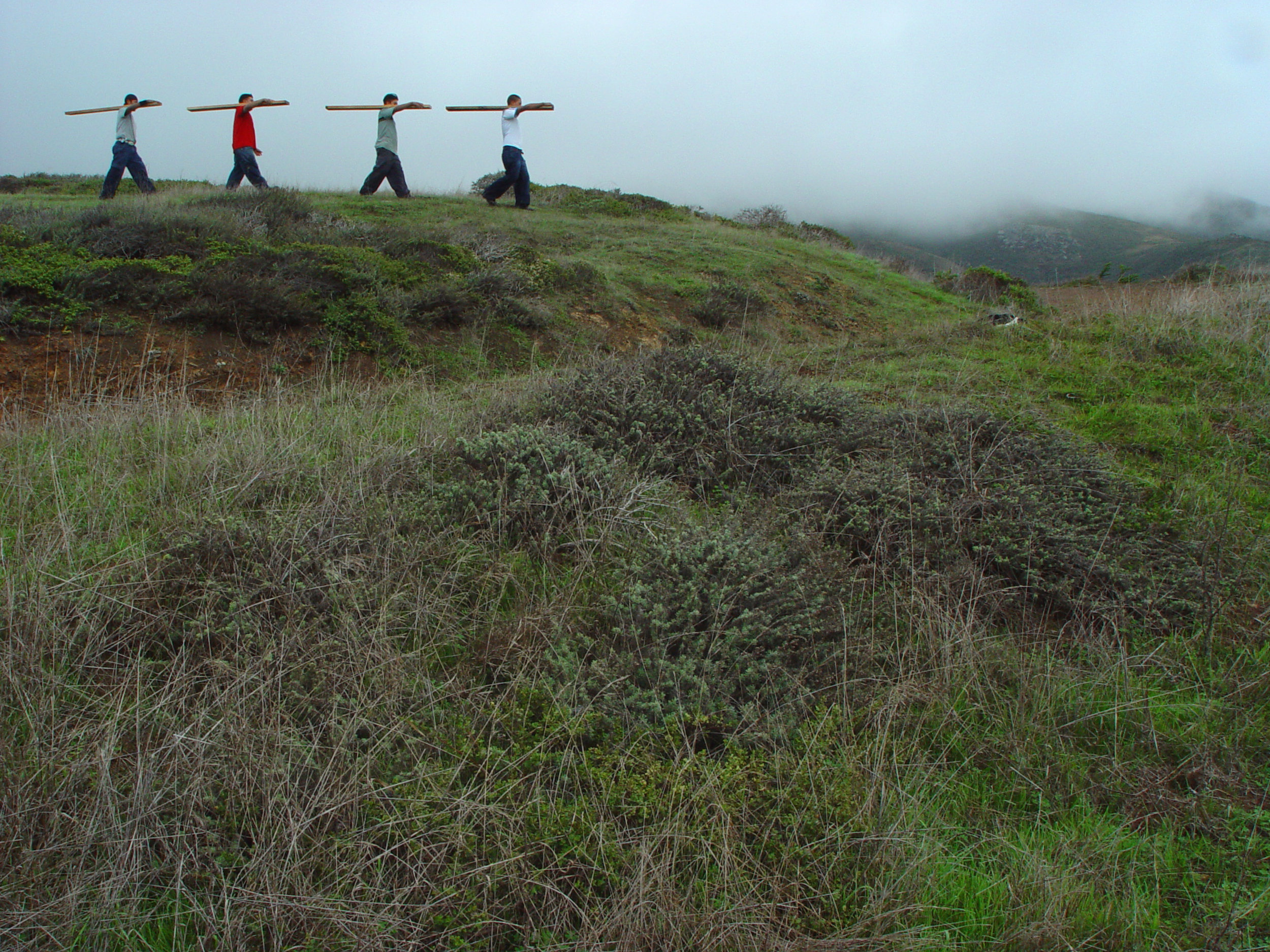 Four Parallel Lines, Planks.jpg