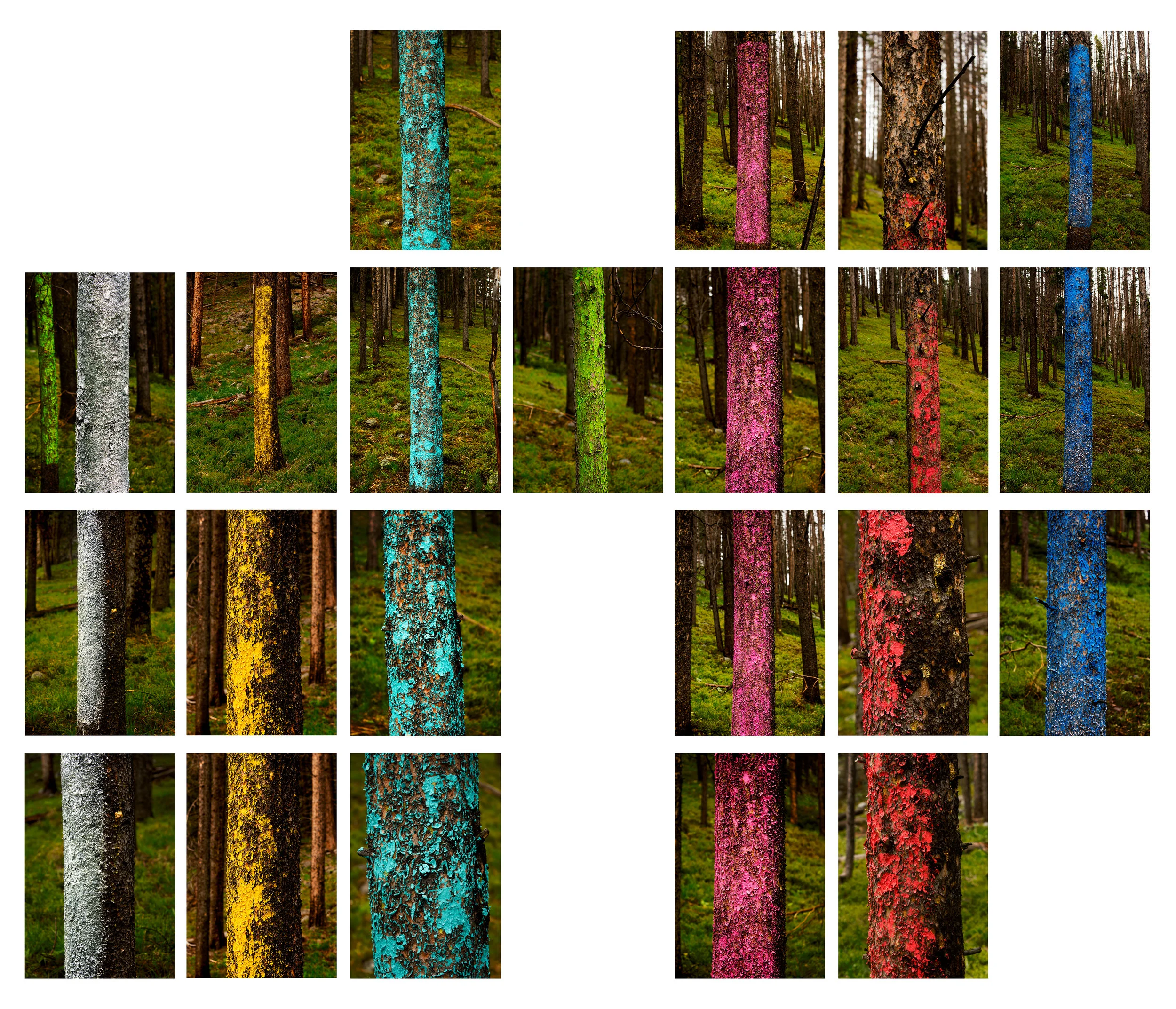 tree lines grid final.jpg