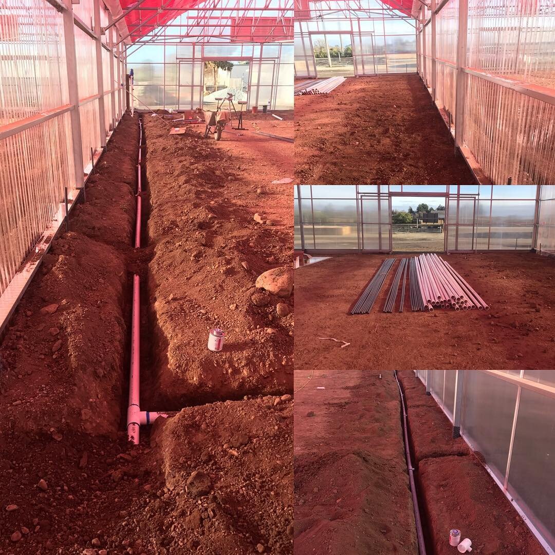 Getting the irrigation ready to start growing your beautiful liners California ! #gerdschneidernursery #thatnewnew #saturday #propagation #californiahorticulture #plantgeek