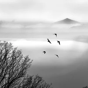 Crows+-+Sugar+Loaf+from+Penallt-1.jpg