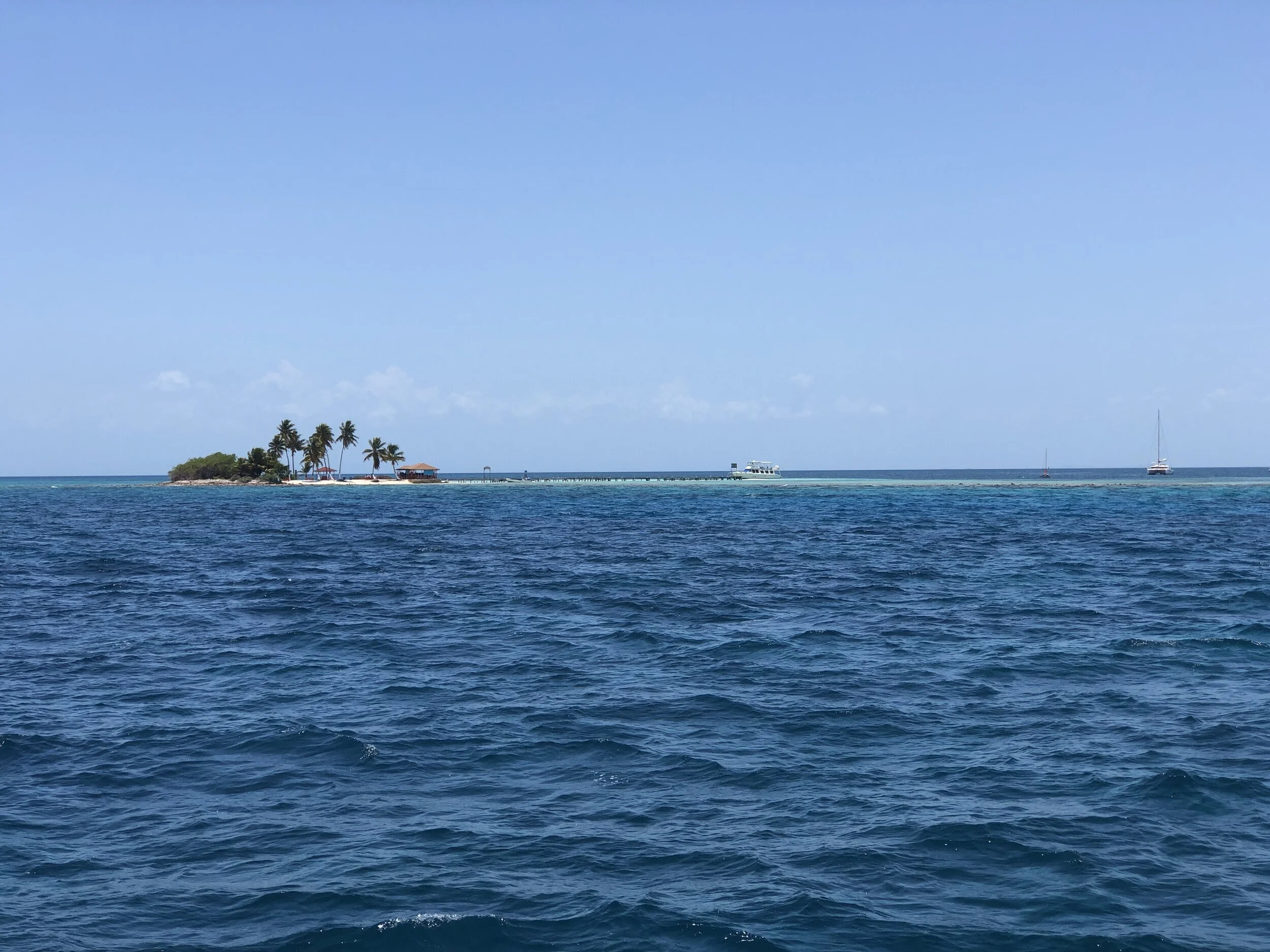 IMG_1582.jpg