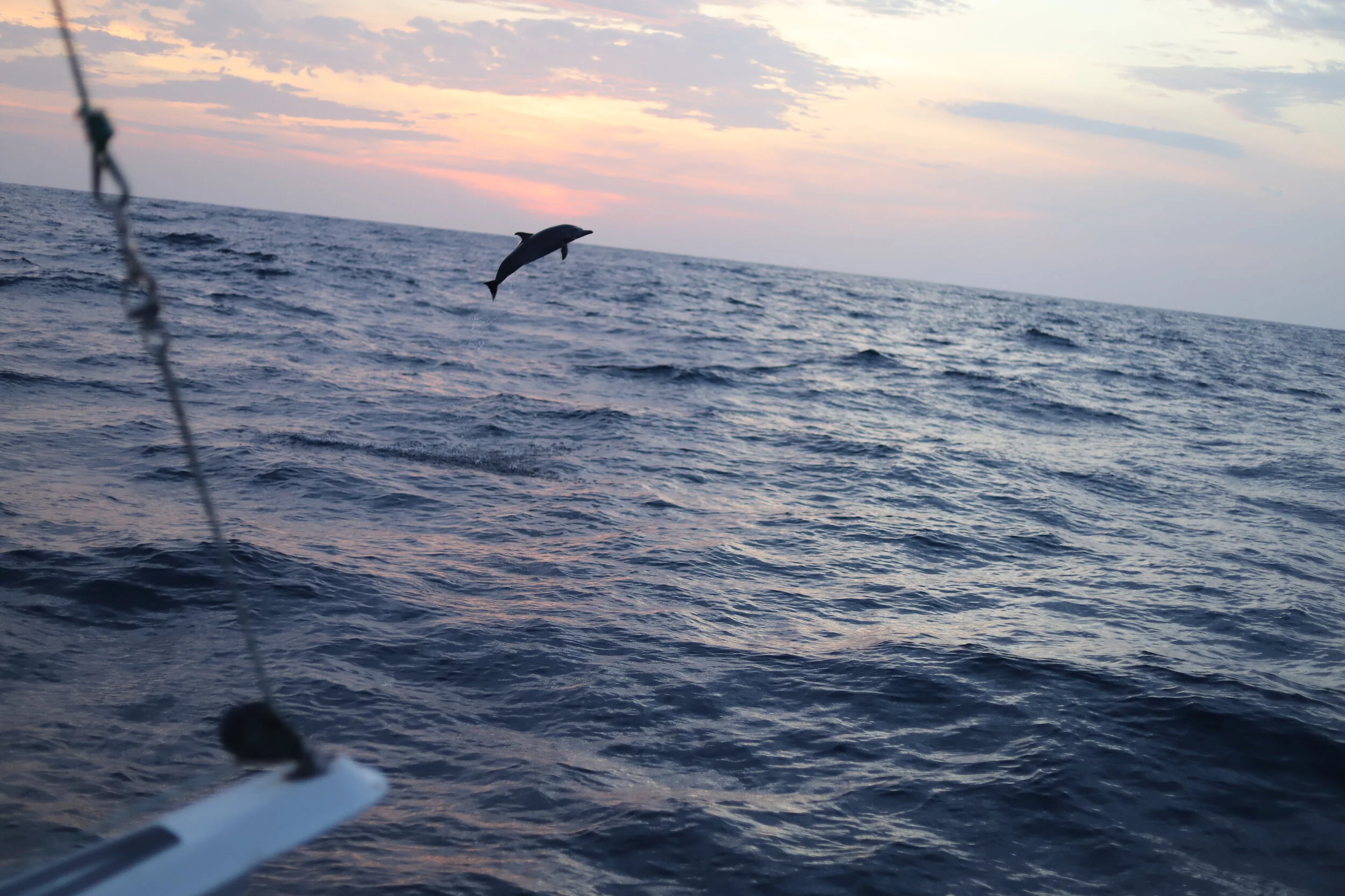 Sailing the Sea of Cortez - Our Arrival to San Carlos | Episode 77