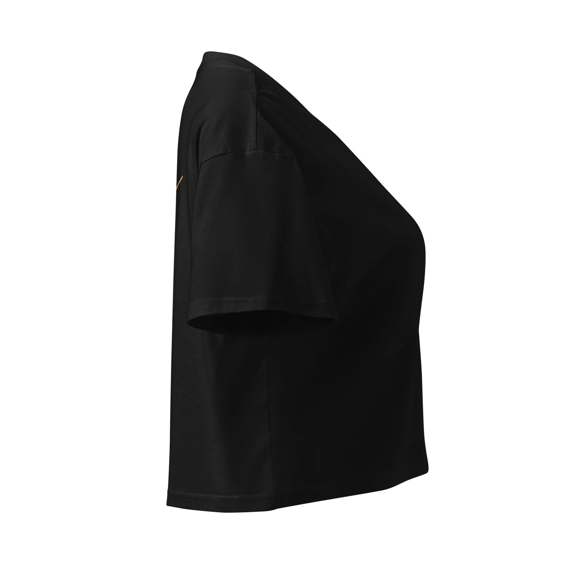 womens-crop-top-black-right-69e6c4bb27374.jpg
