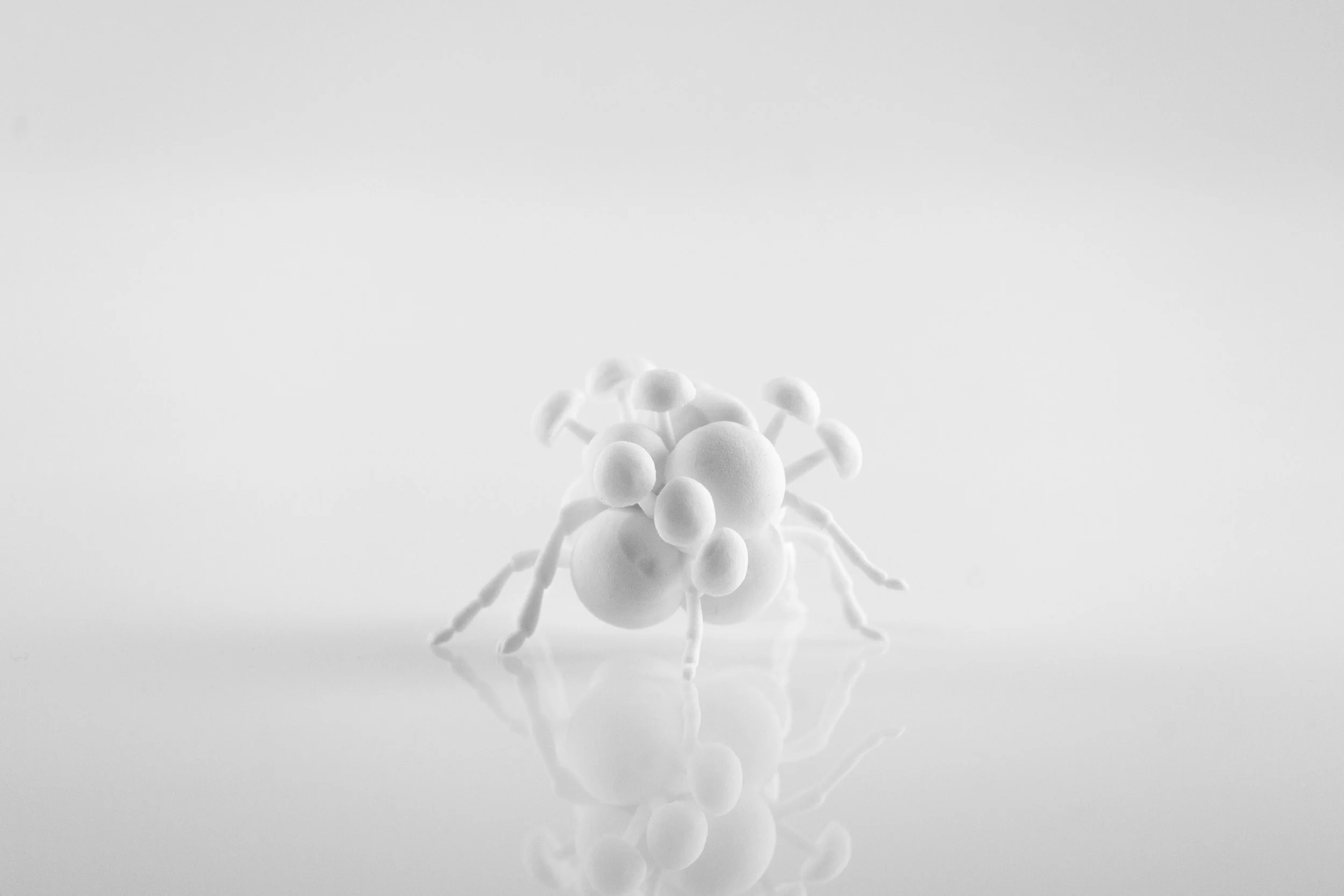 Insect_0019_Layer 22.jpg