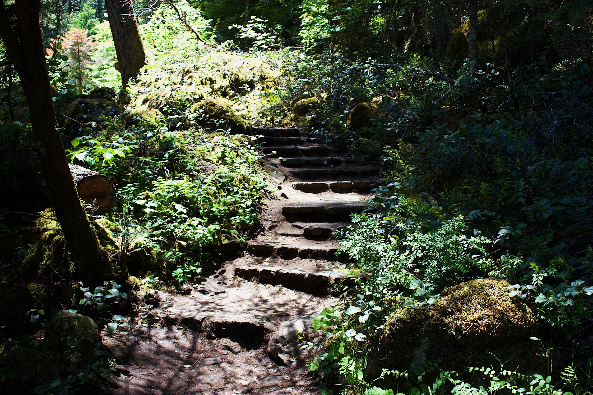 Staycation: Oregon Waterfalls
