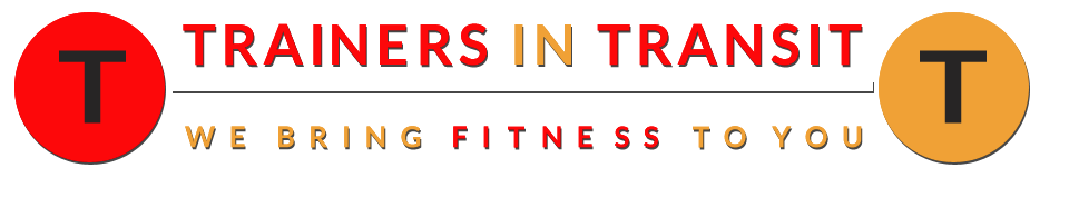 TTLogo-shadow.png