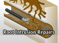 RRPro.png