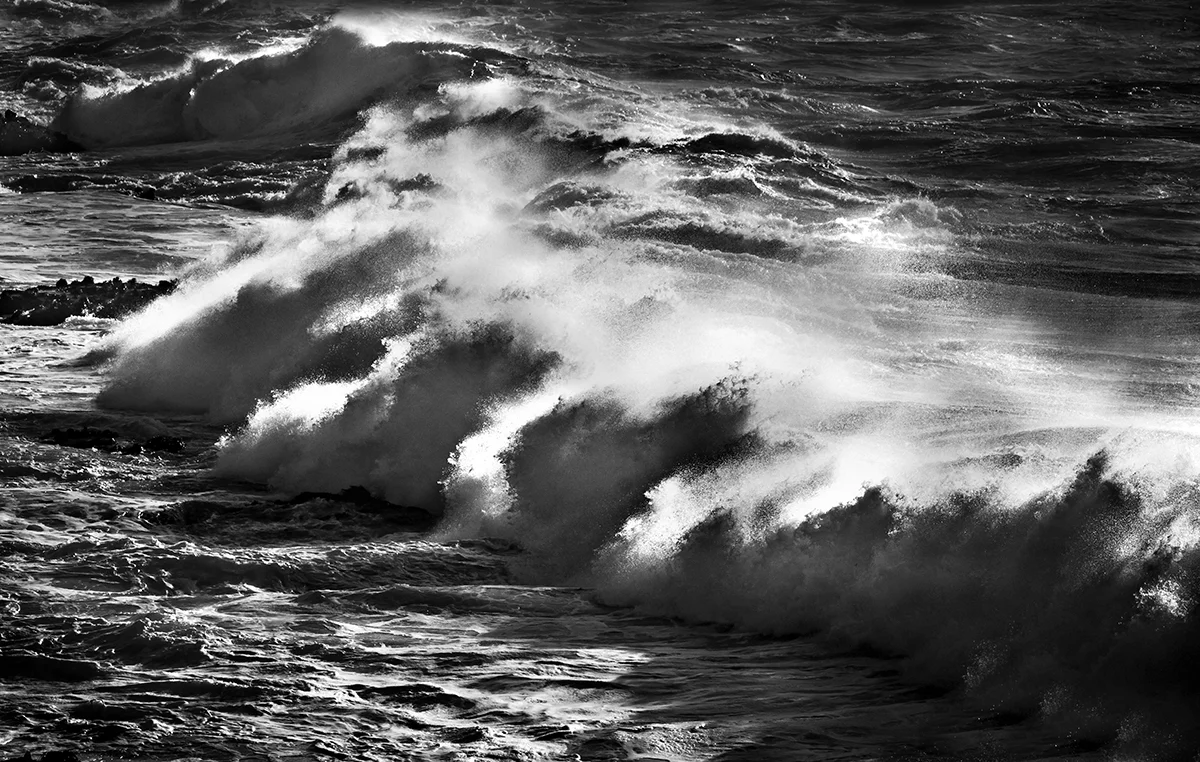 DSC02556BIGSUR copy.jpg