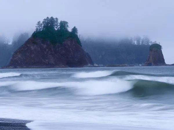 Misty Rialto Beach,.jpg