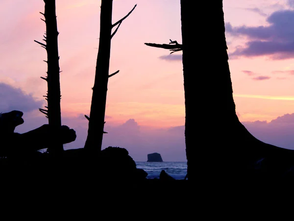 Rialto Beach Sunset.jpg