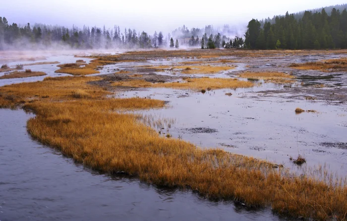 GeyserBasinYellowstone.jpg