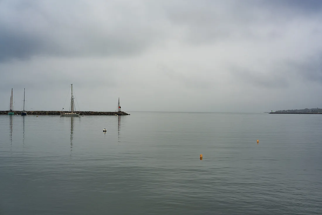 DSC06414.jpg