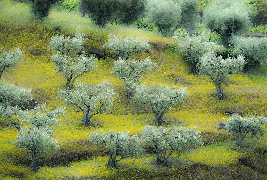 DSC06903minus clarity+dcre dehaze.jpg