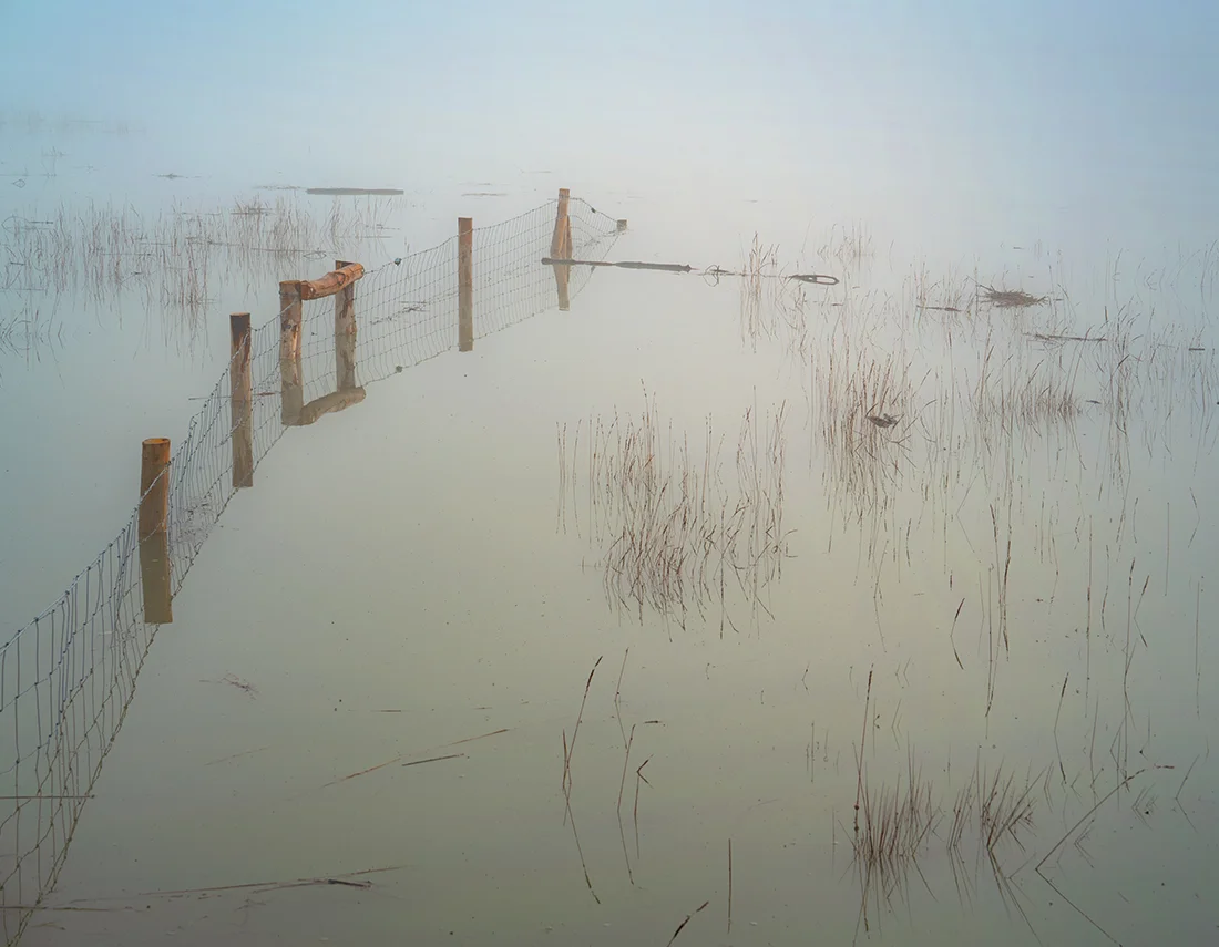 PondEarlyMorning .jpg