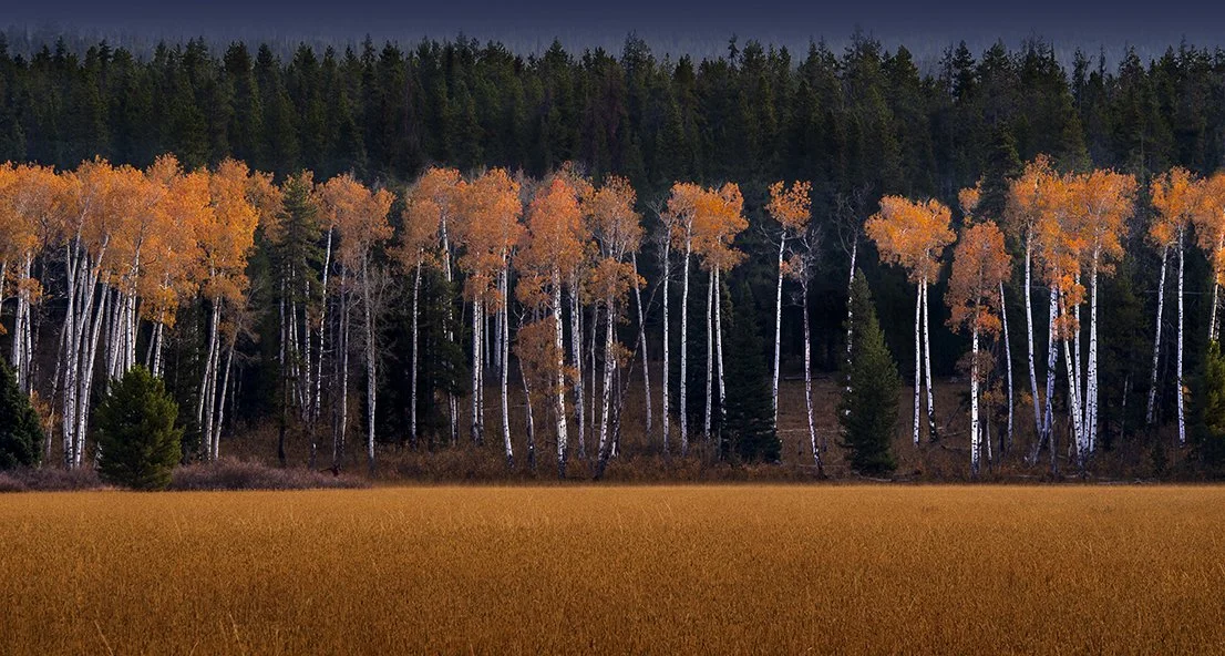 TETON AUTUMN#2 copy.jpg