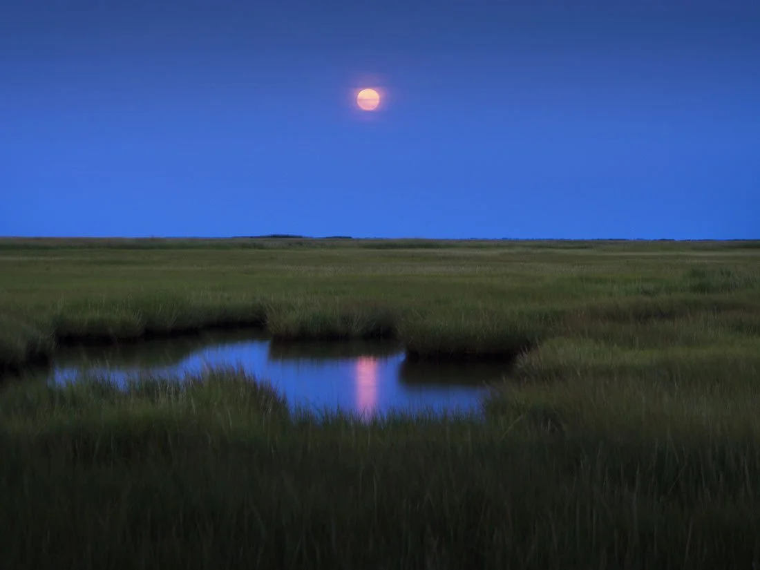 Moonrise Over Marshland.jpg