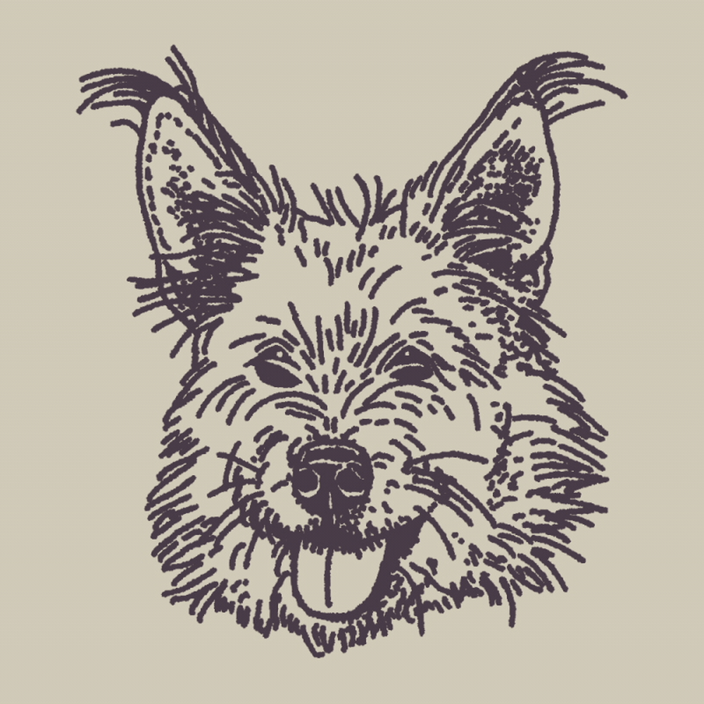 PetPortraitPreview.gif