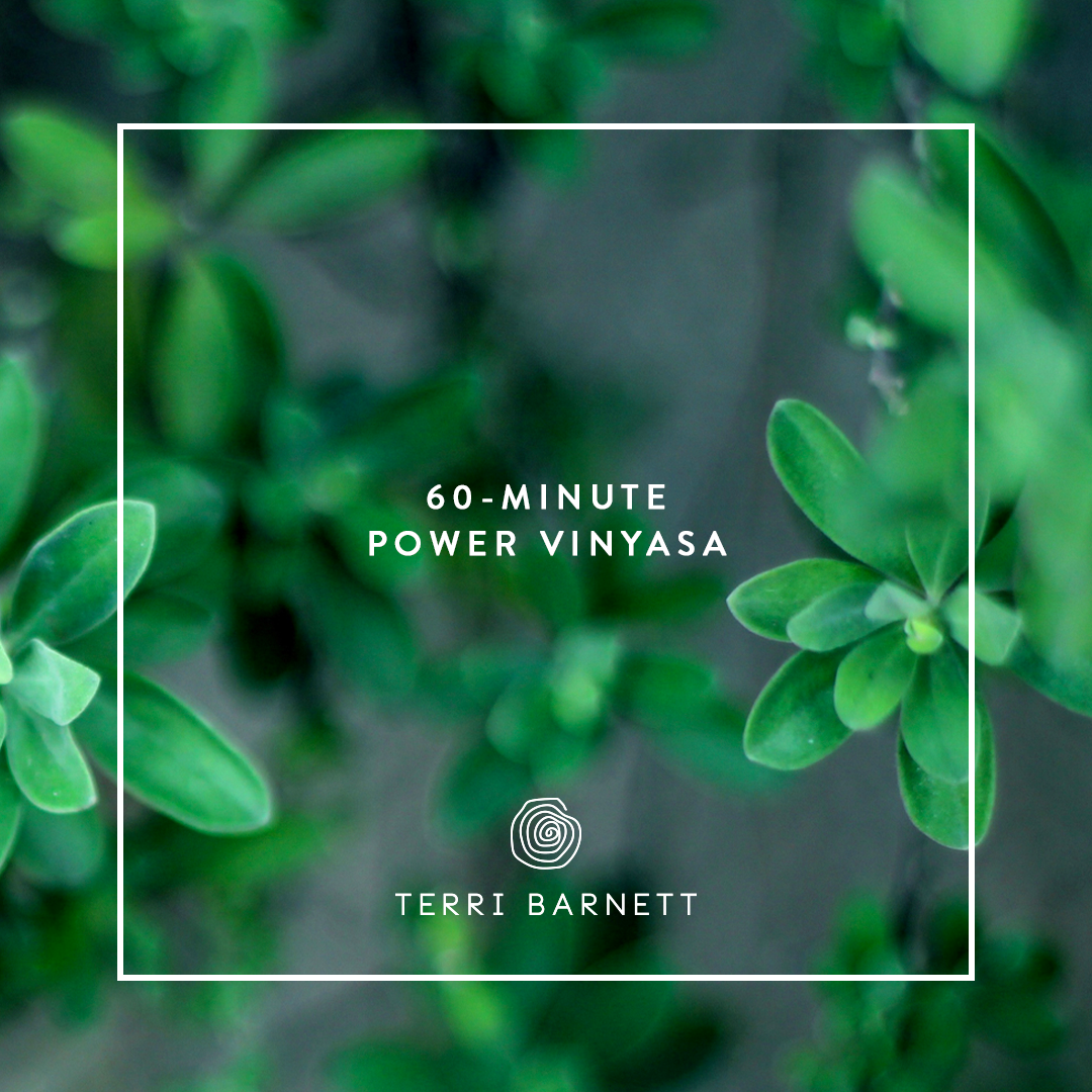 0628_Recorded60_PowerVinyasa.png