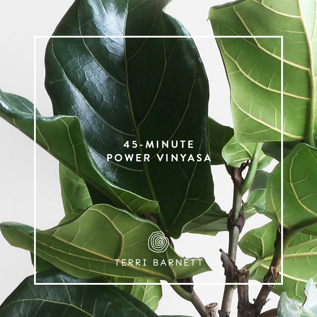 45-Minute Power Vinyasa #1