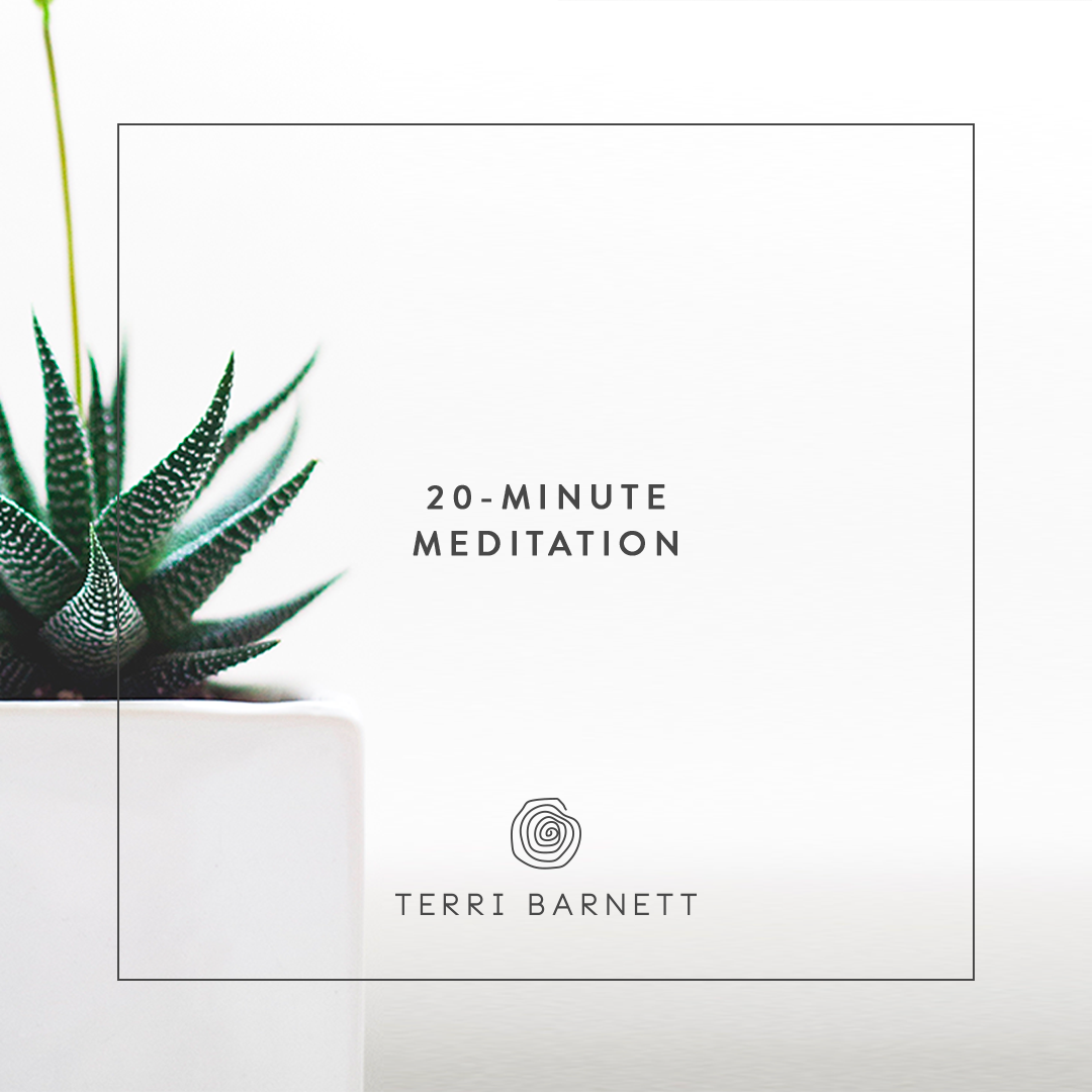 1004_Recorded20-Meditation.png