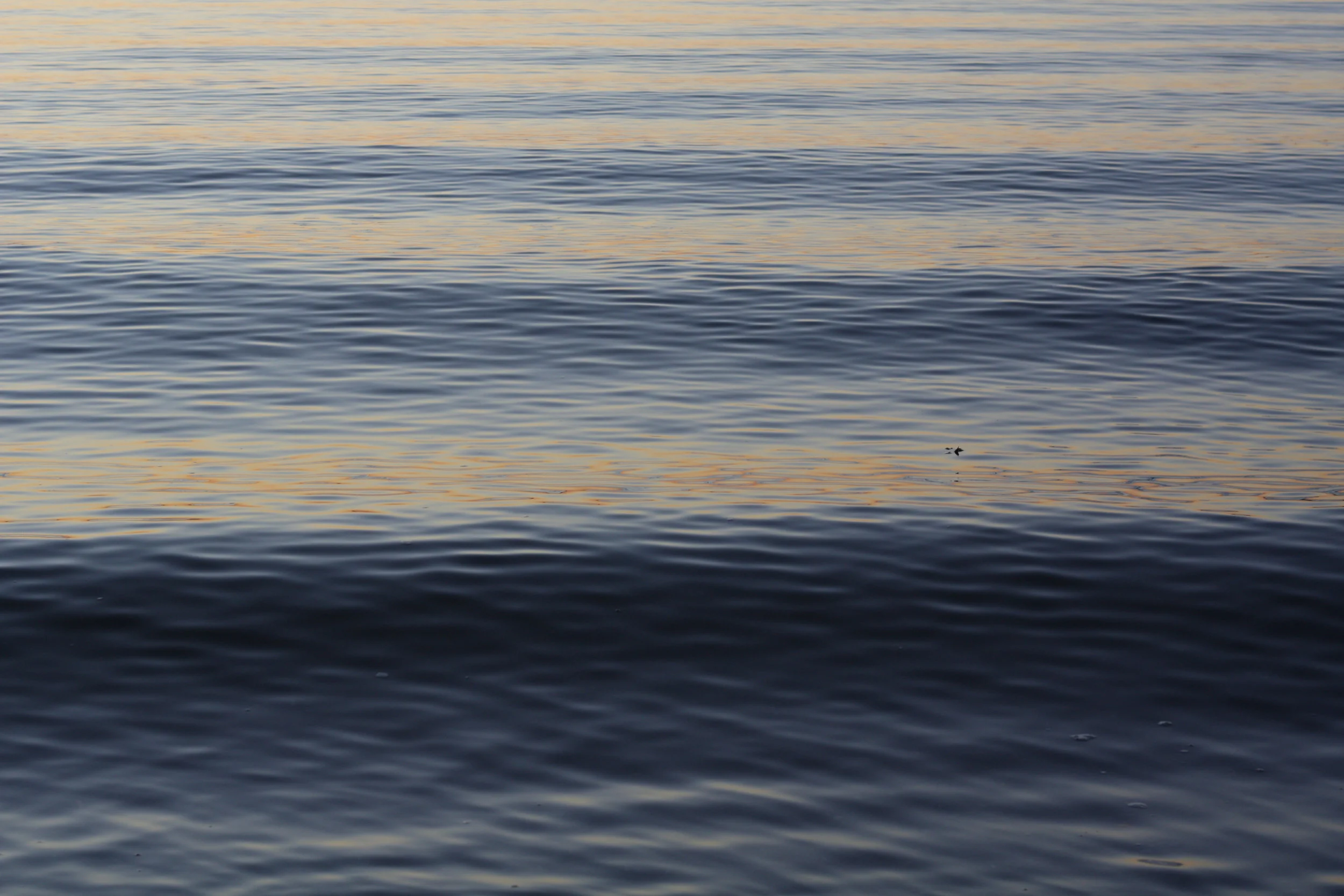 water.jpg