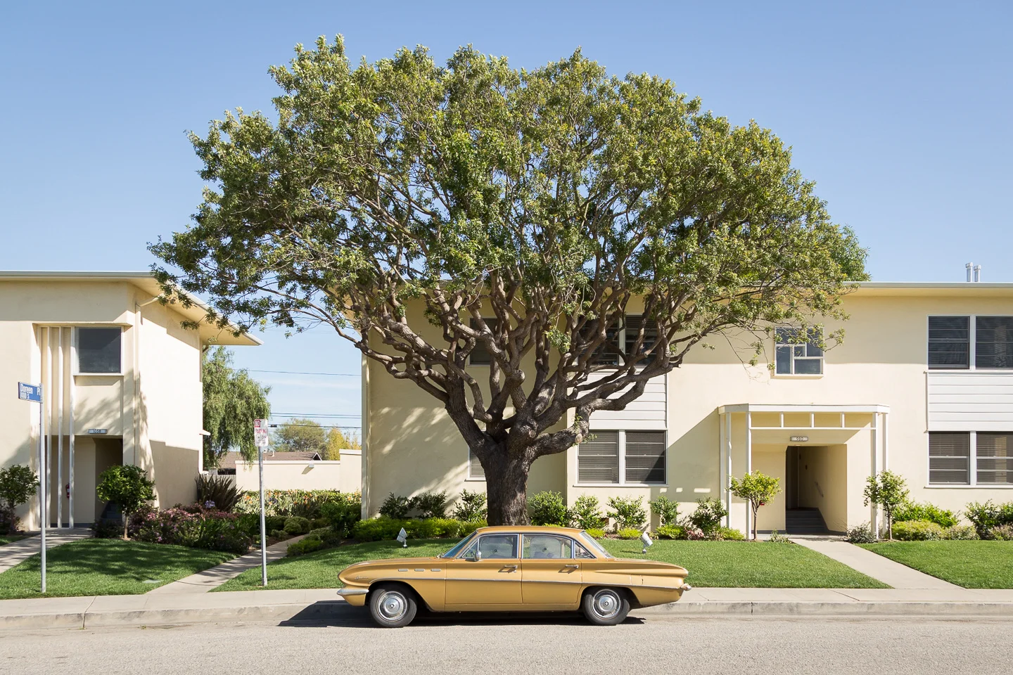 _MG_9837.dng.(Copy 1)._recovered_from_preview_.jpg