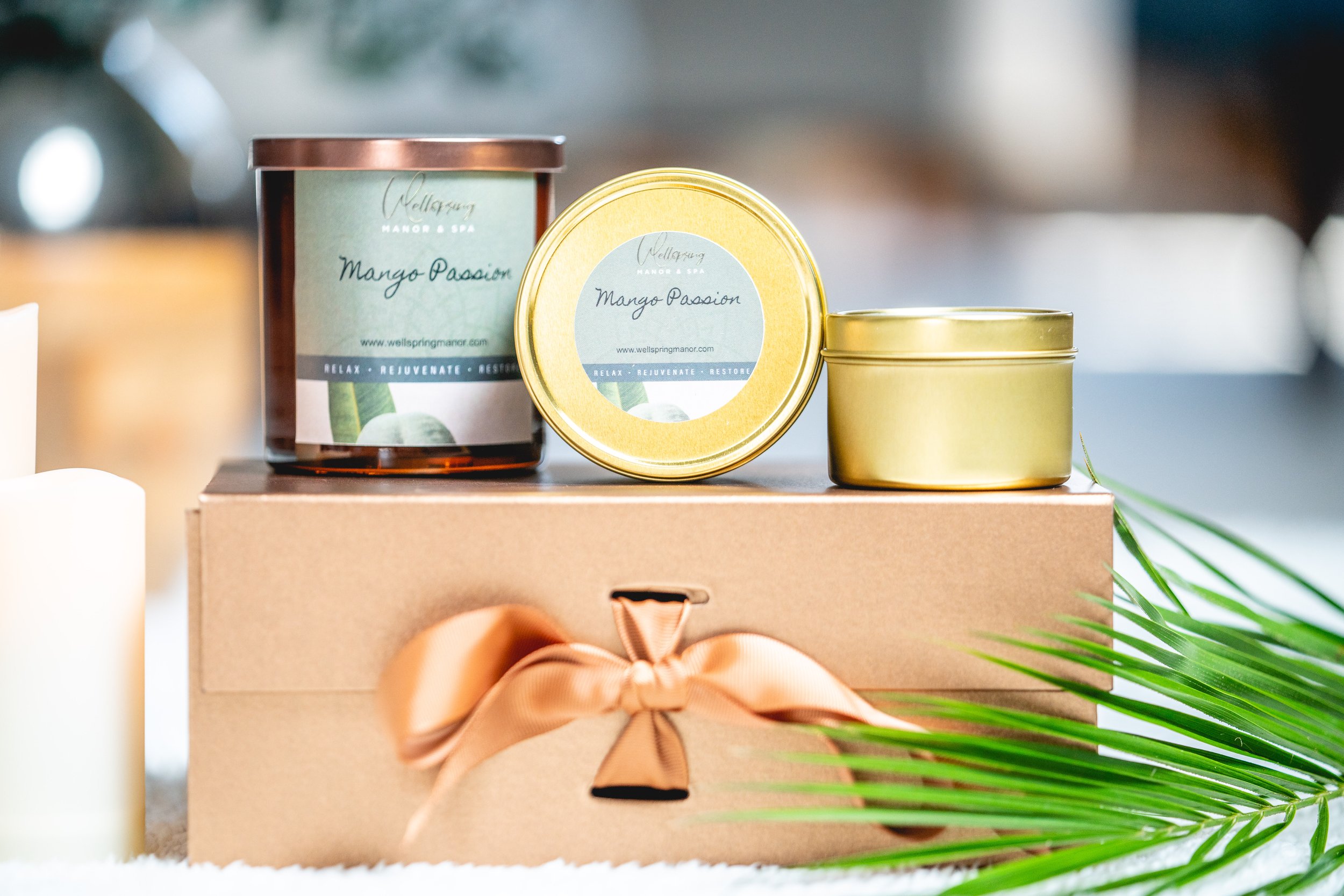 Mango Passion Candle Collection.jpg