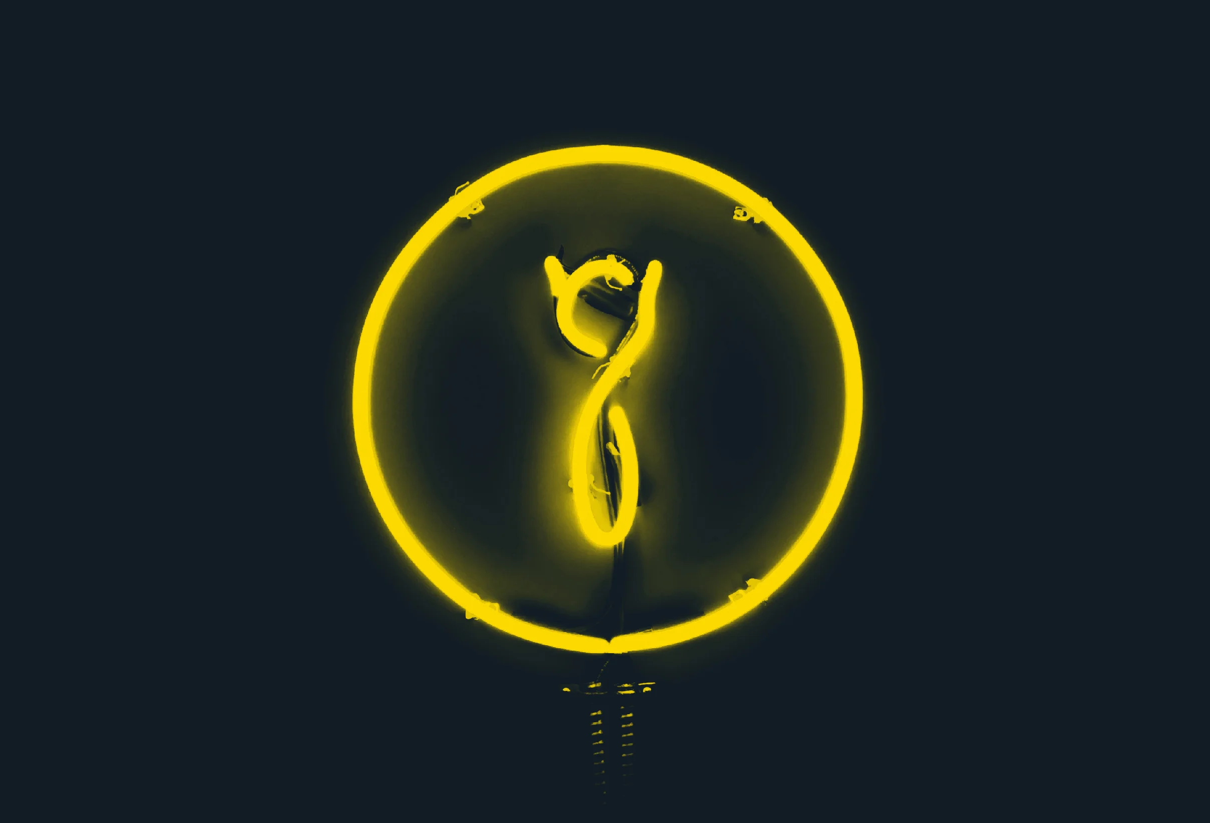Neon Sign for Night Drop - The lower case “g” looks like an owl caricature.