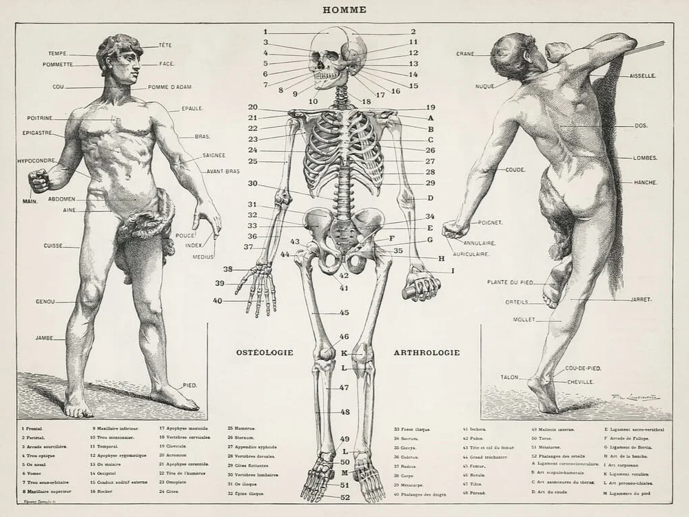 Original Body Design Advice to Design Students II: Design With Your Whole Body — D.J. Trischler