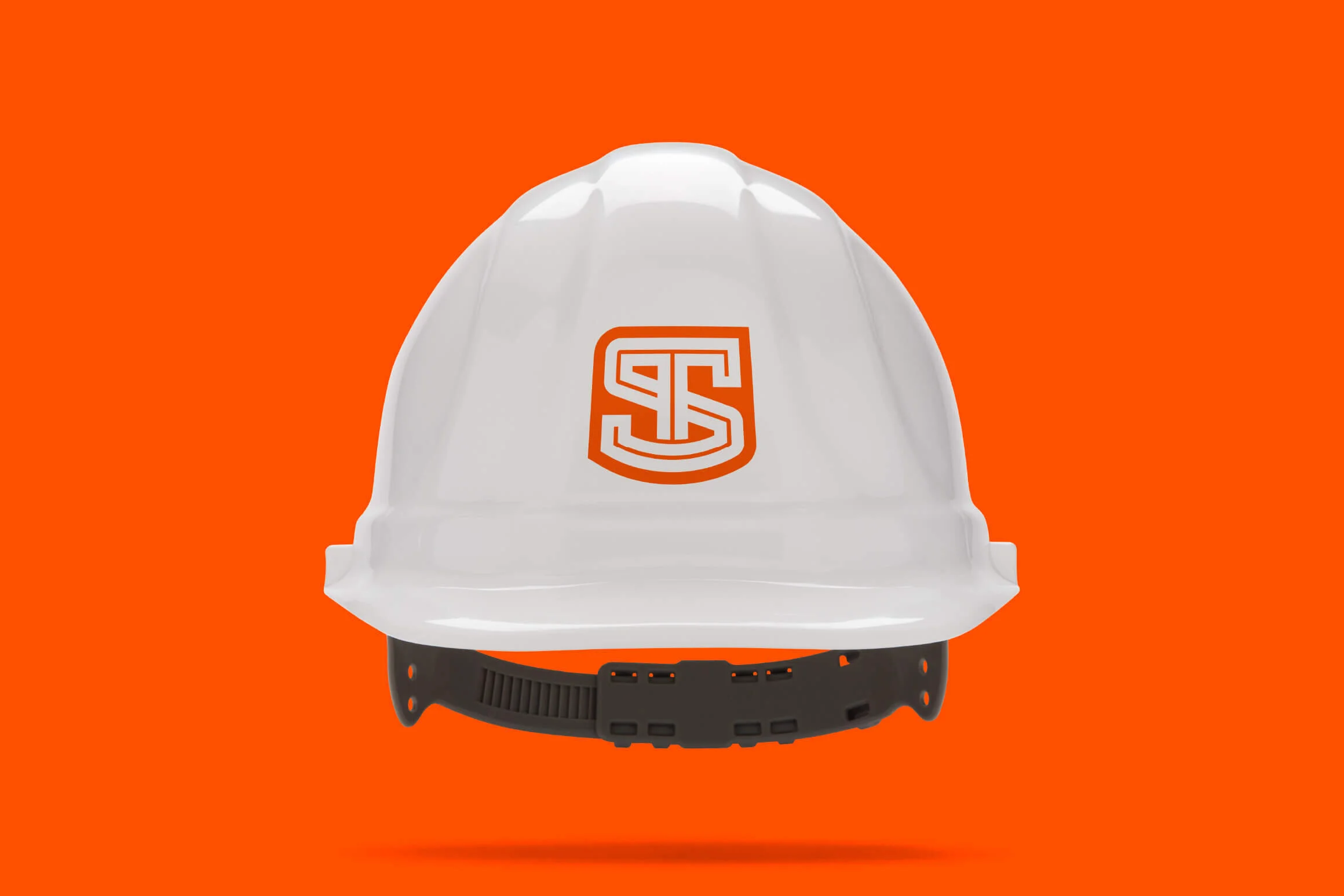 TrueScan Brand Identity Design