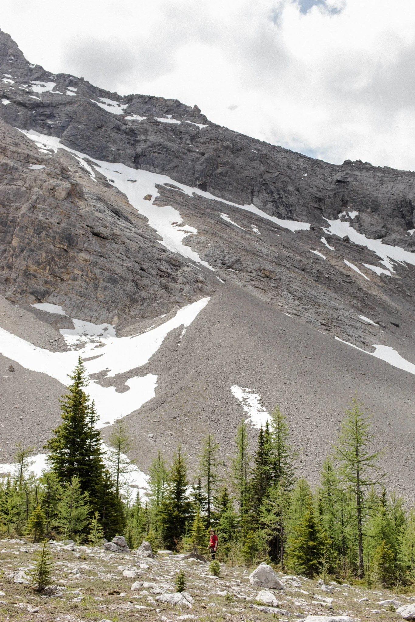 buller-49.jpg