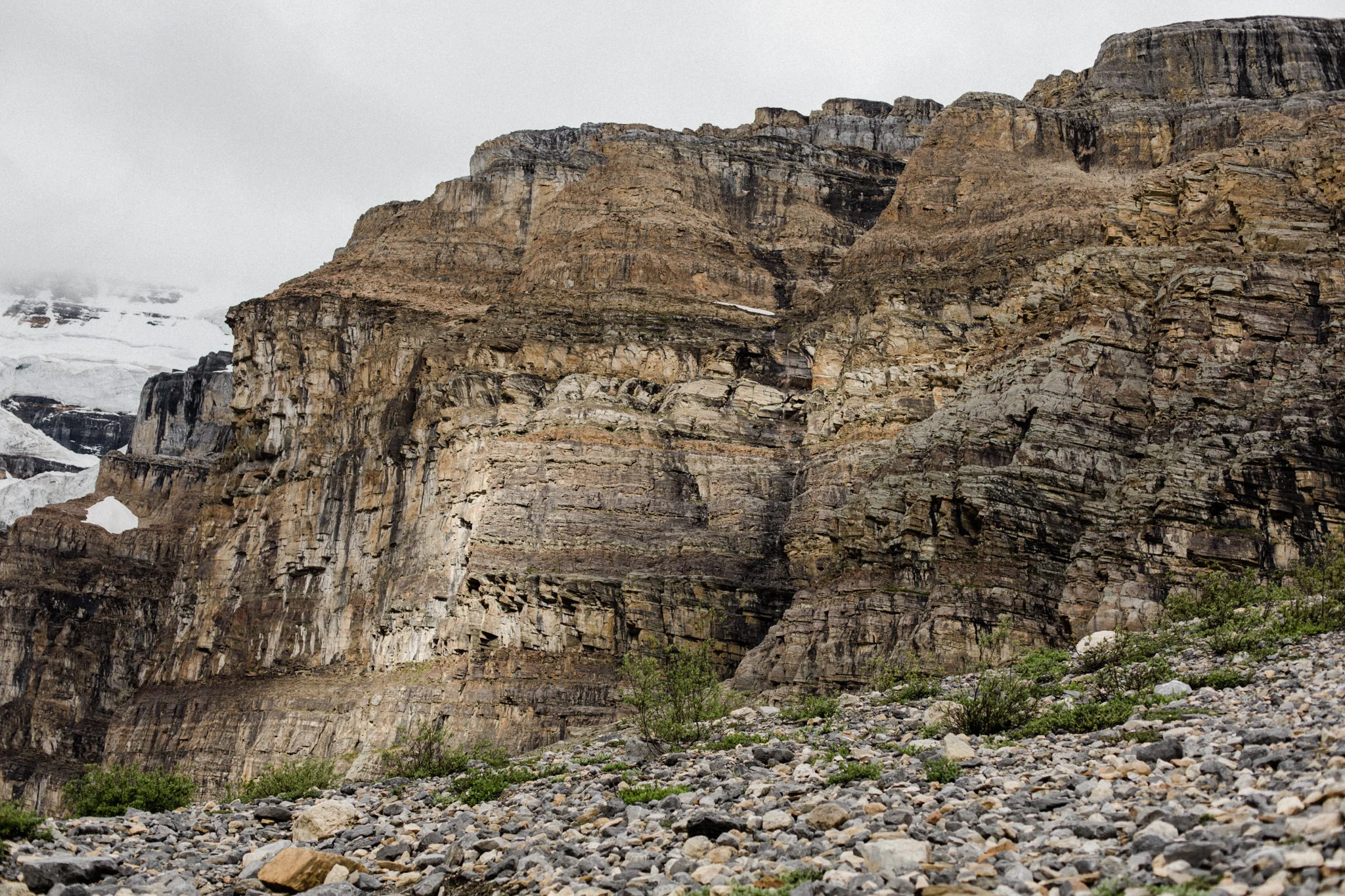 plainsix-2019-32.jpg