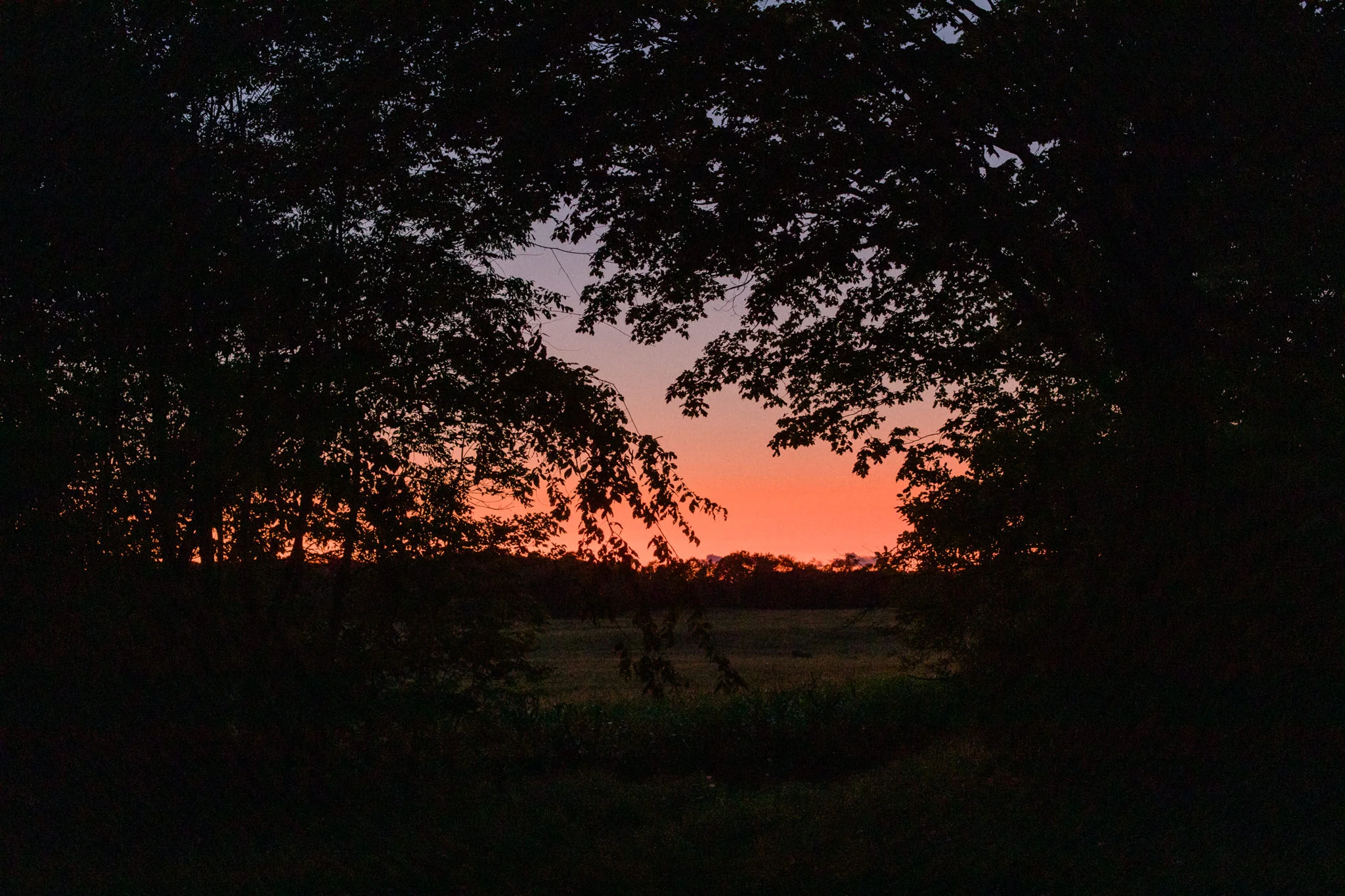 durham-summer19-878.jpg