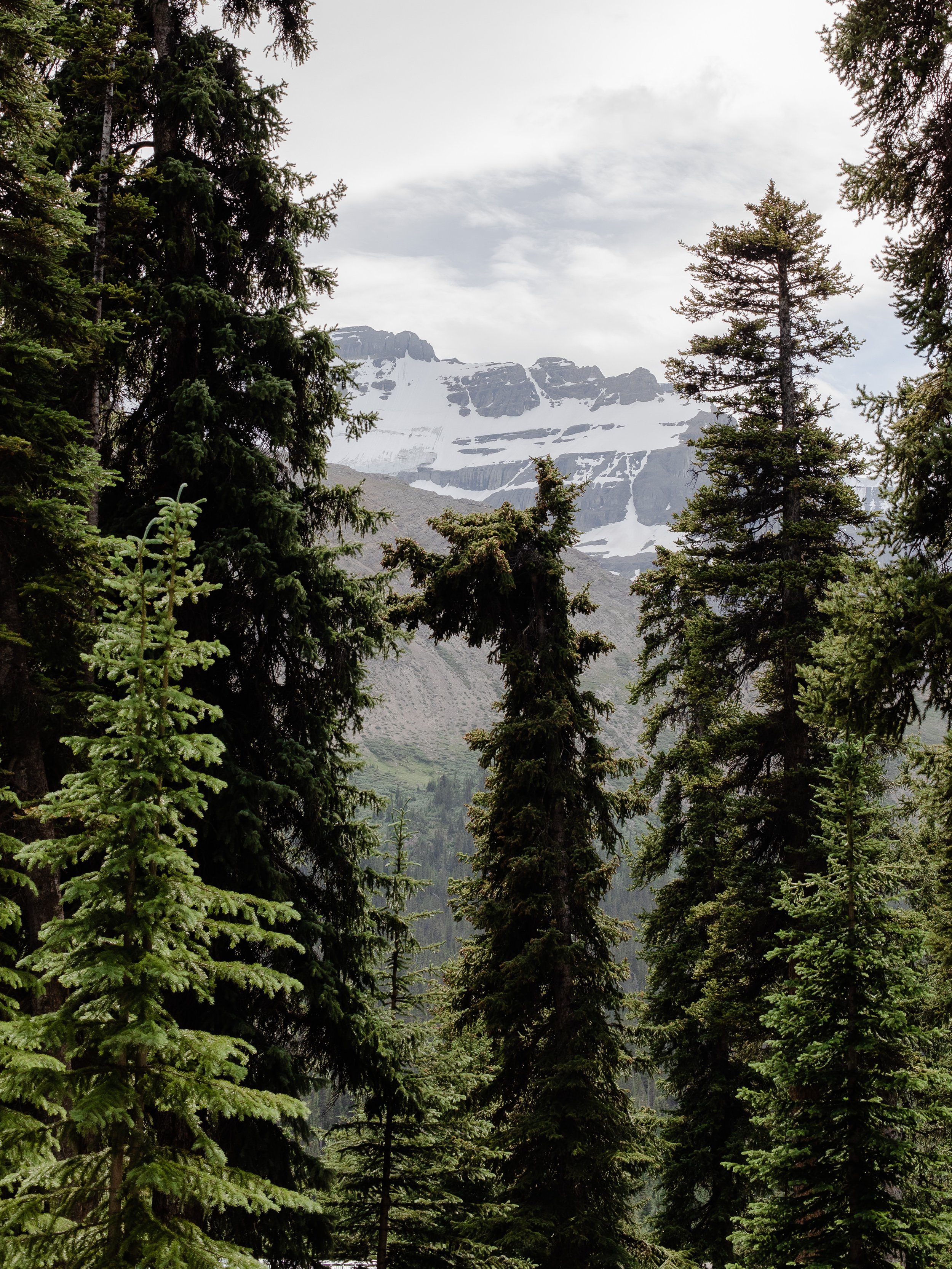 Camping-Icefields-853.jpg