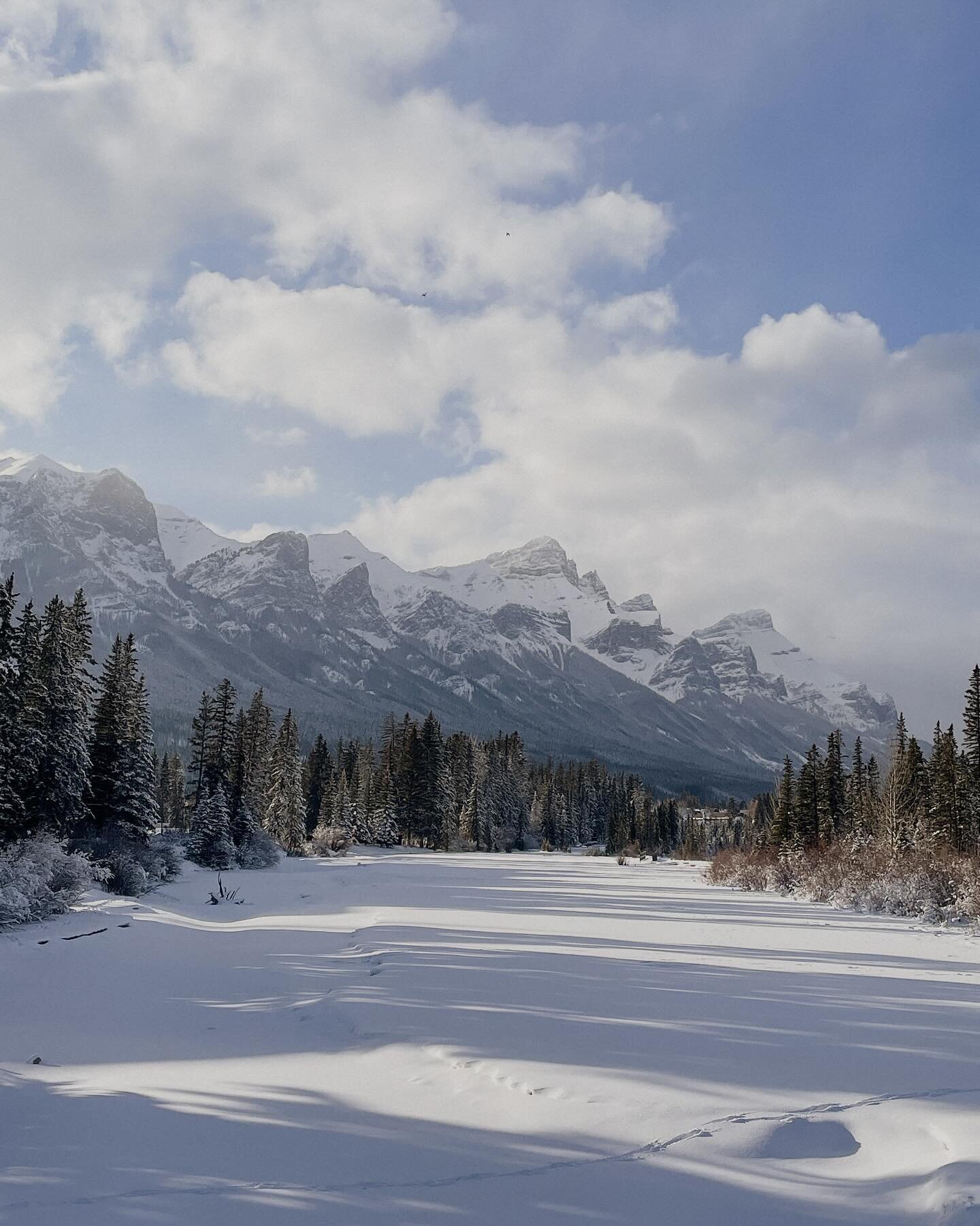 Life lately.

1. After 7 days turned our entire ski season around
2. It&rsquo;s -20&deg;C again
3. The day I became Canadian 🇨🇦 
4. Incredible work at MUSE show @studio122yyc 
5. Bulk season?
6. Photographer things
7. The days are getting lighter ?