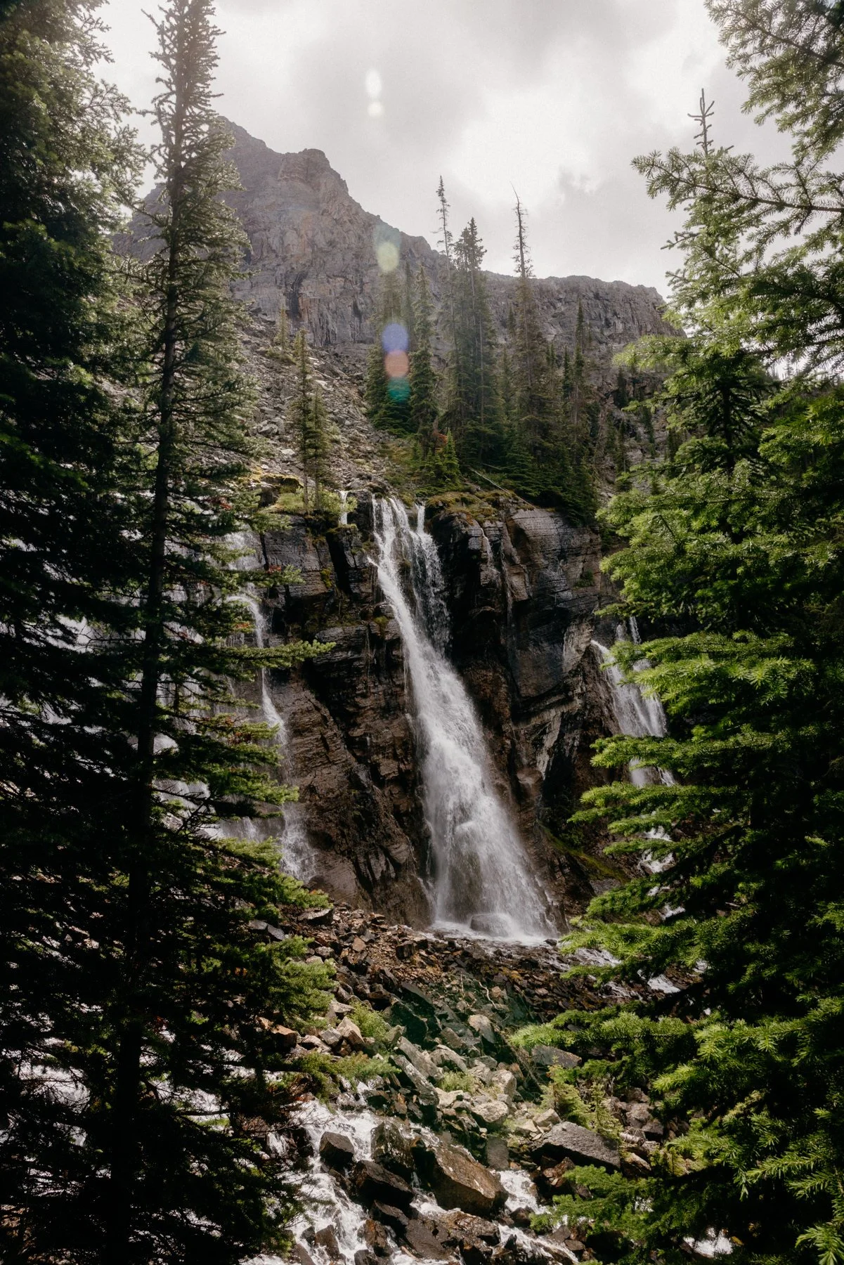 LakeOHara-Jul2025-934.jpg
