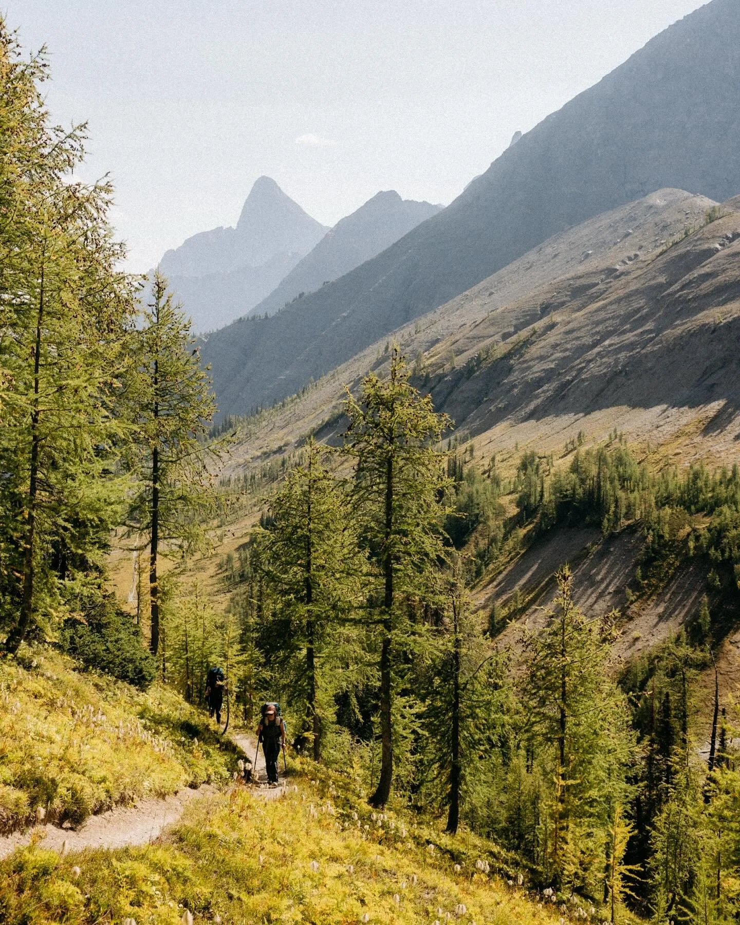5 weeks ago, Brittany, Phoebe and I completed a 6-day traverse of The Rockwall: a 55km, 2,700m elevation gain hike through mountain passes, larch forests, glaciers, alpine lakes, and unforgettable landscapes. It&rsquo;s hard to believe that this was 