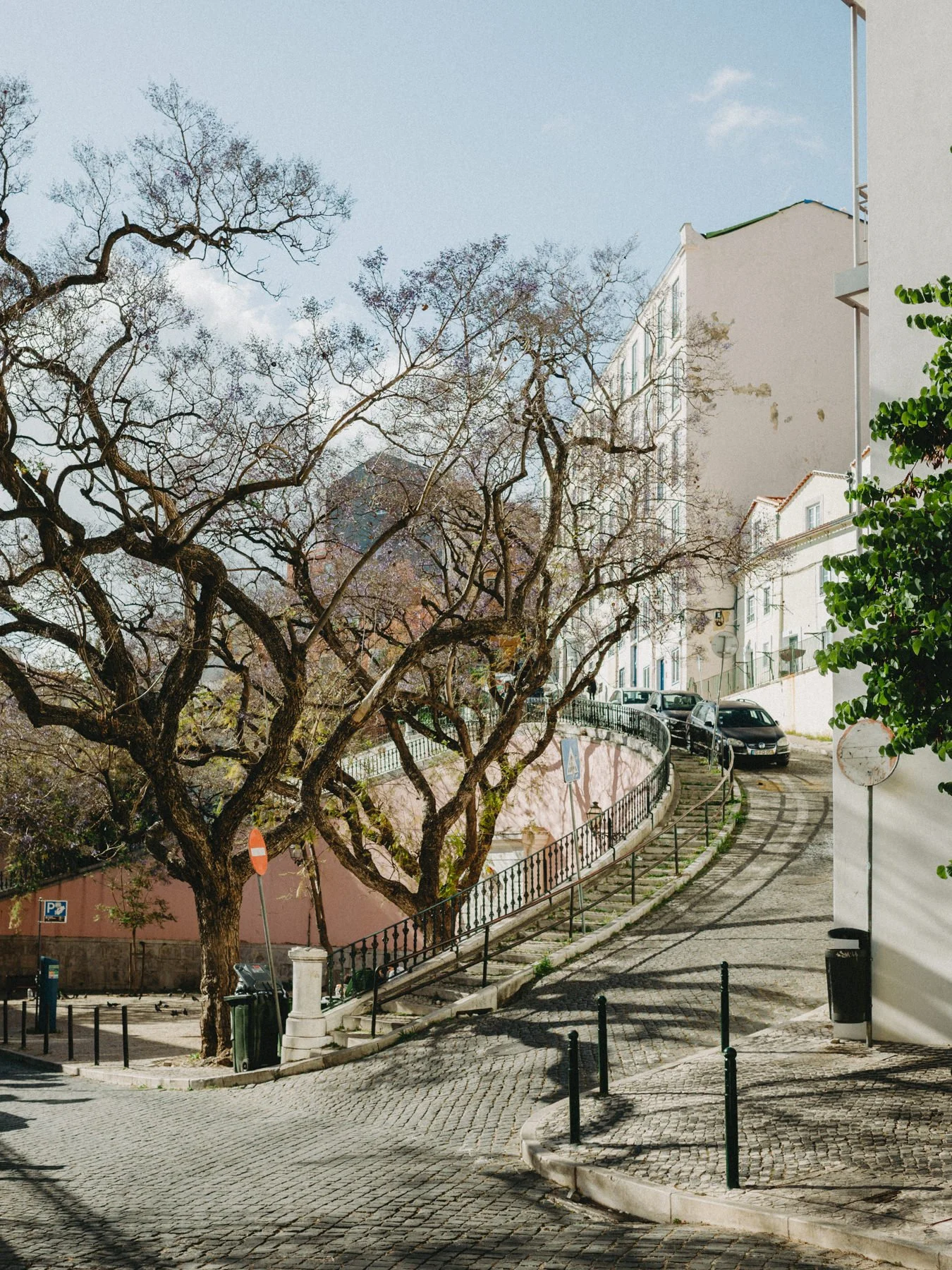 Lisbon-2026-432.jpg