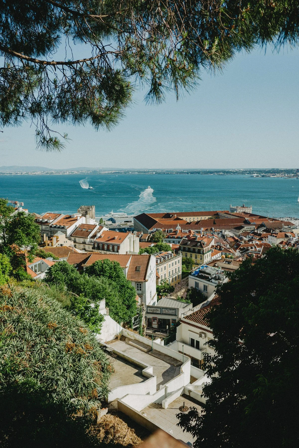 Lisbon-2026-469.jpg