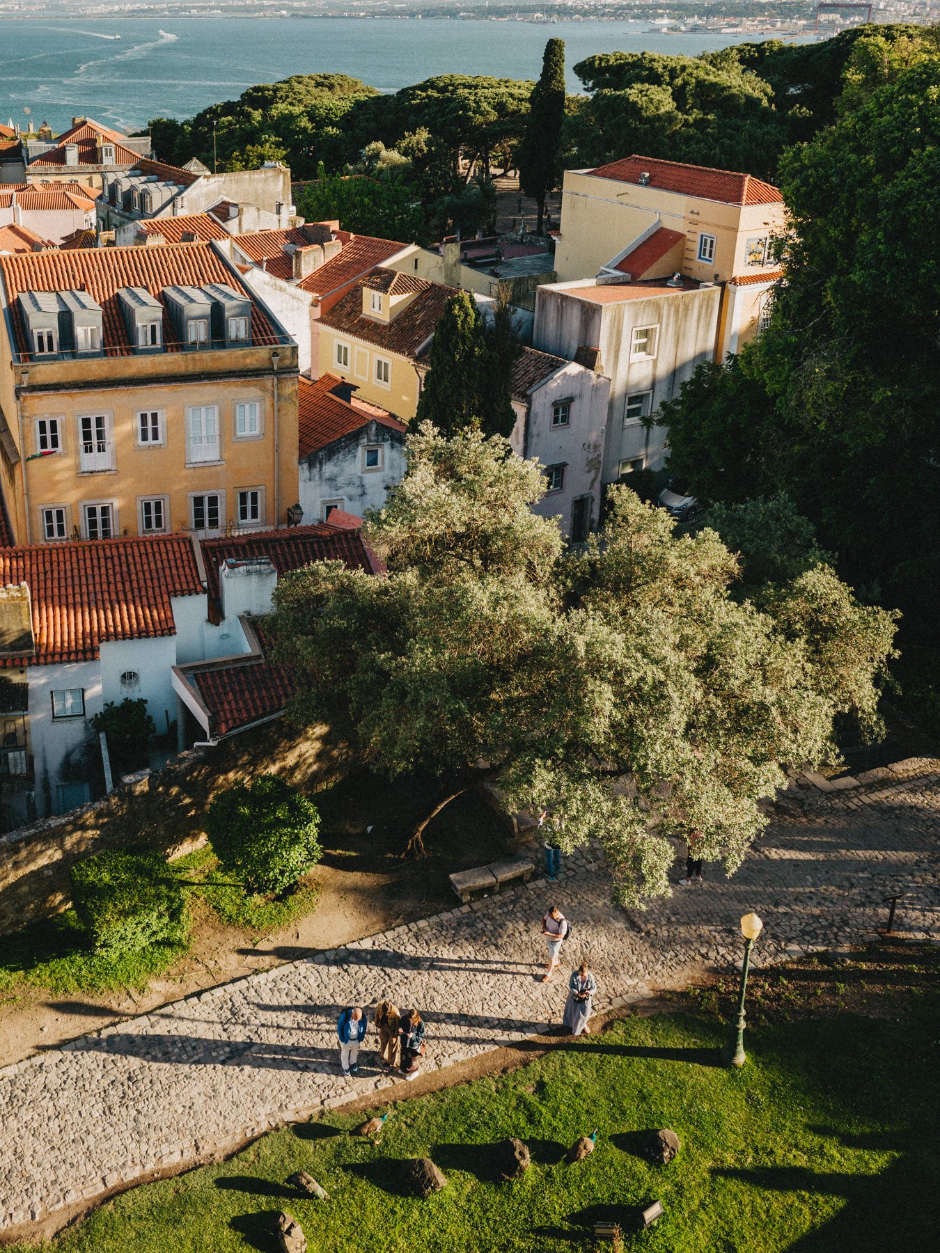 Lisbon-2026-599.jpg