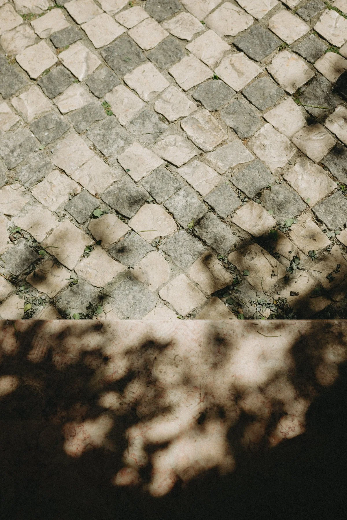 Lisbon-2026-700.jpg