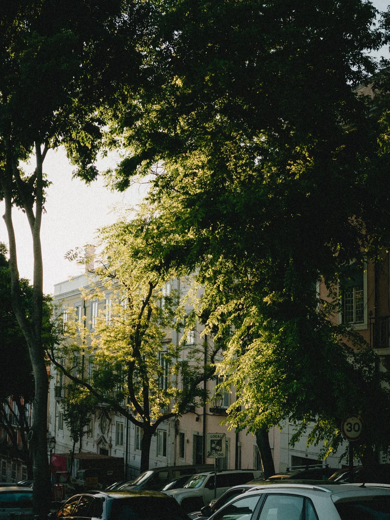 Lisbon-2026-765.jpg