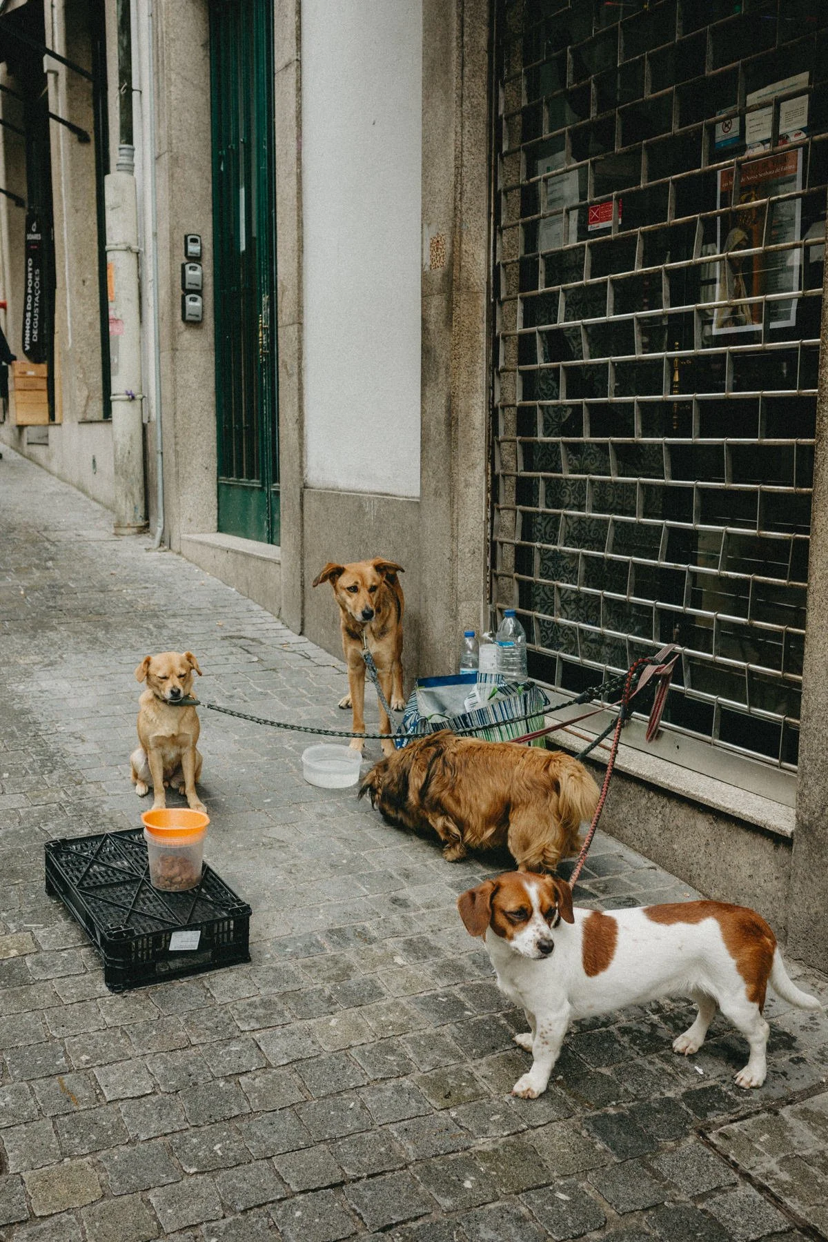 Lisbon-2026-2322.jpg