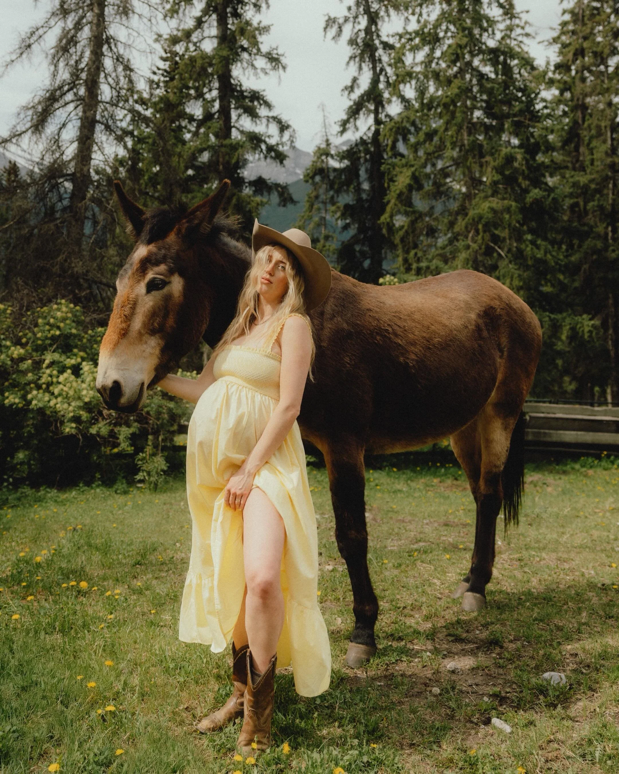Caroline, her horses, and her midsummer child, soon to join us Earth side. 🌻

Stream @carolinewhytemusic wherever you listen ✨