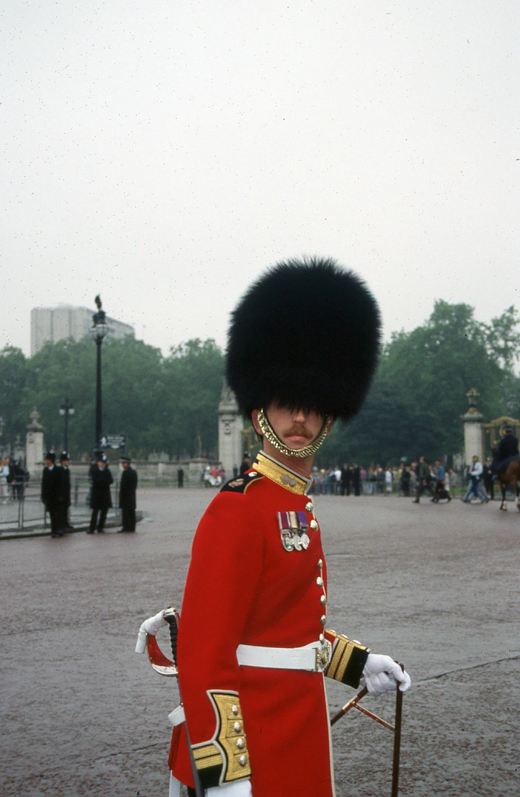img683.jpg