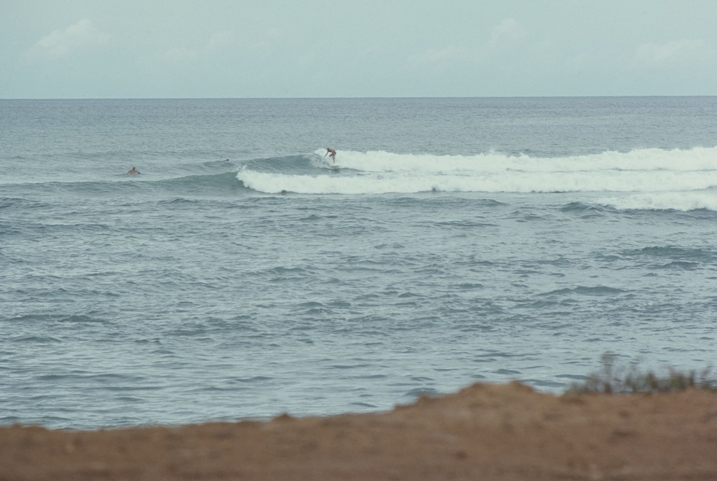 Image 1 2.jpg