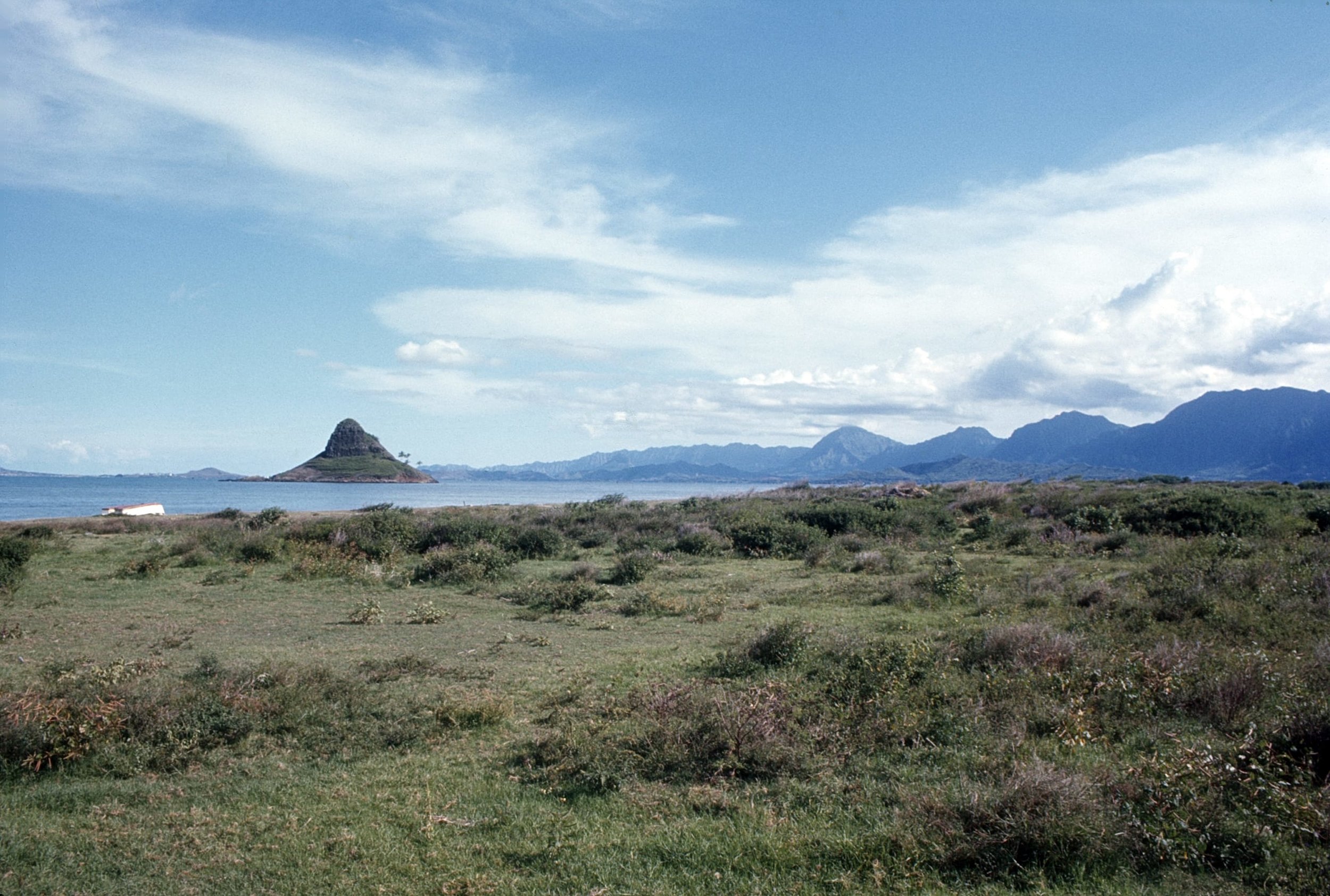 Image 1 .jpg