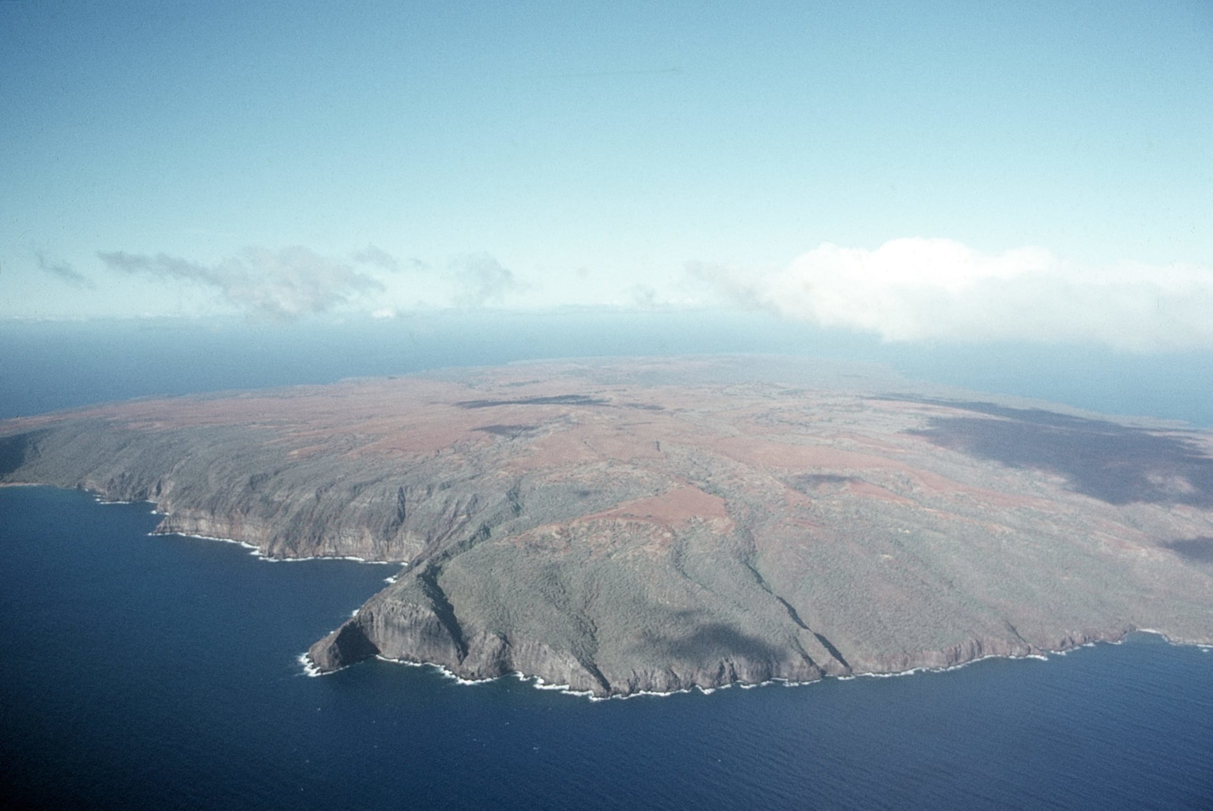 Image 1 17.jpg