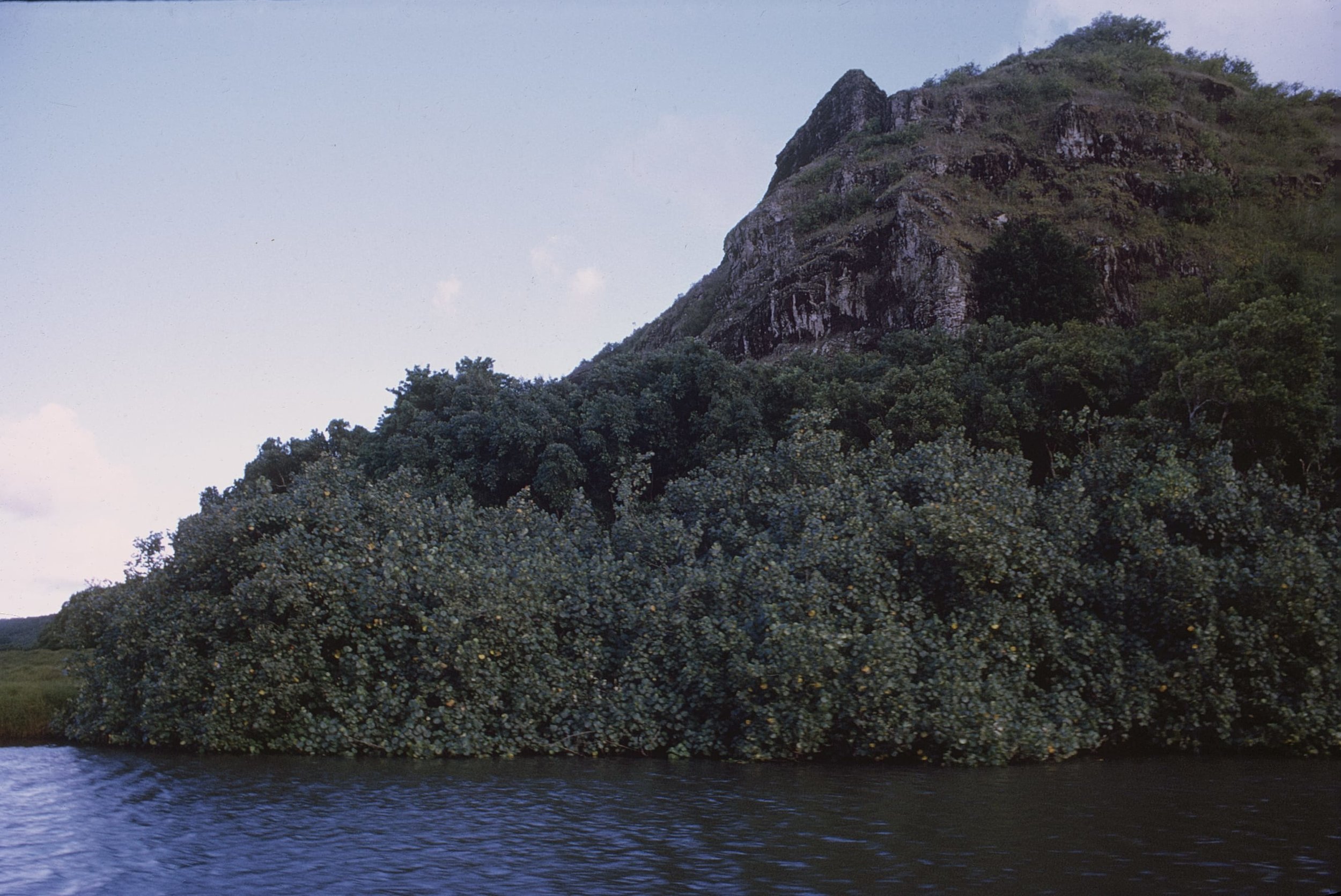 Image 1 65.jpg
