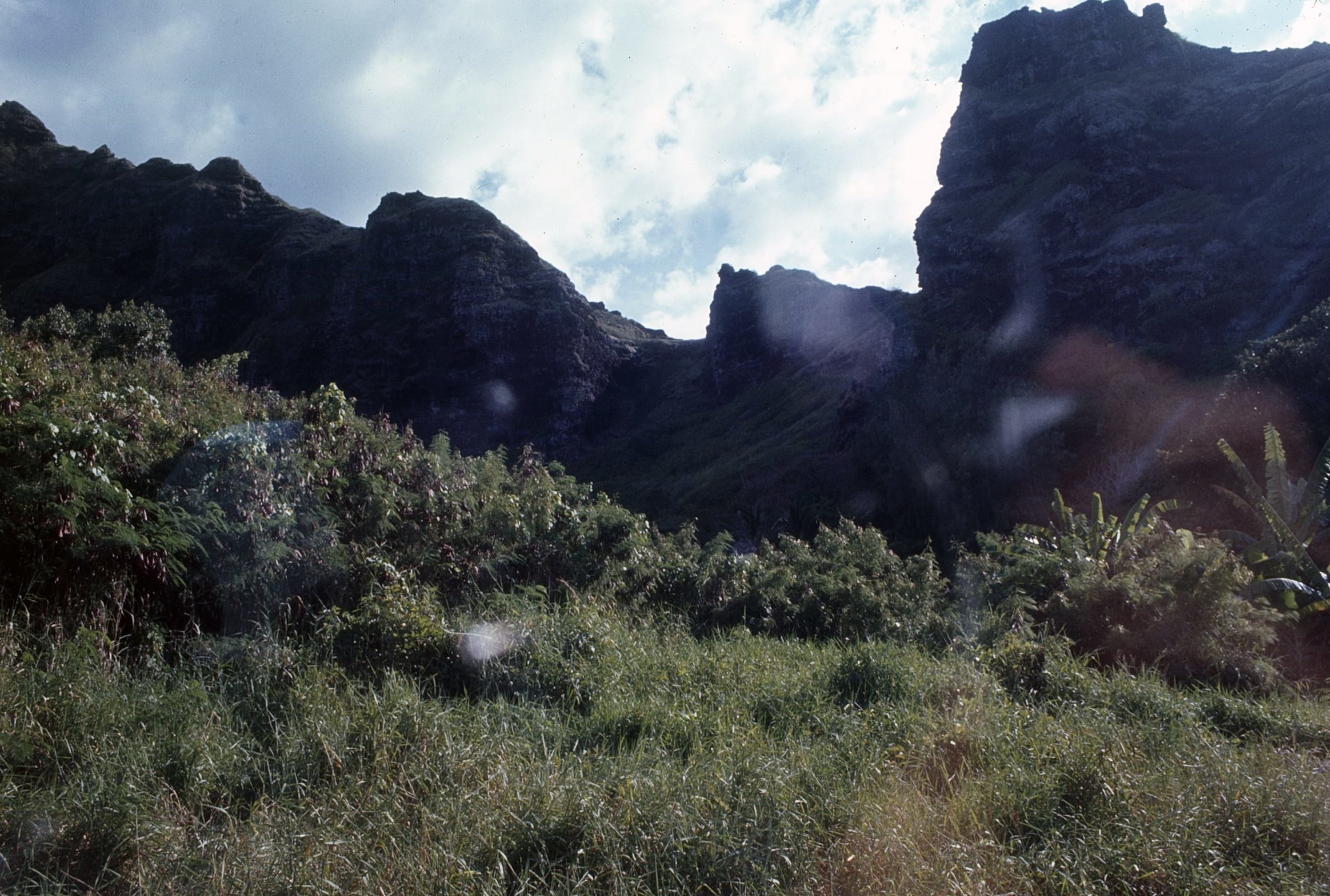 Image 1 132.jpg